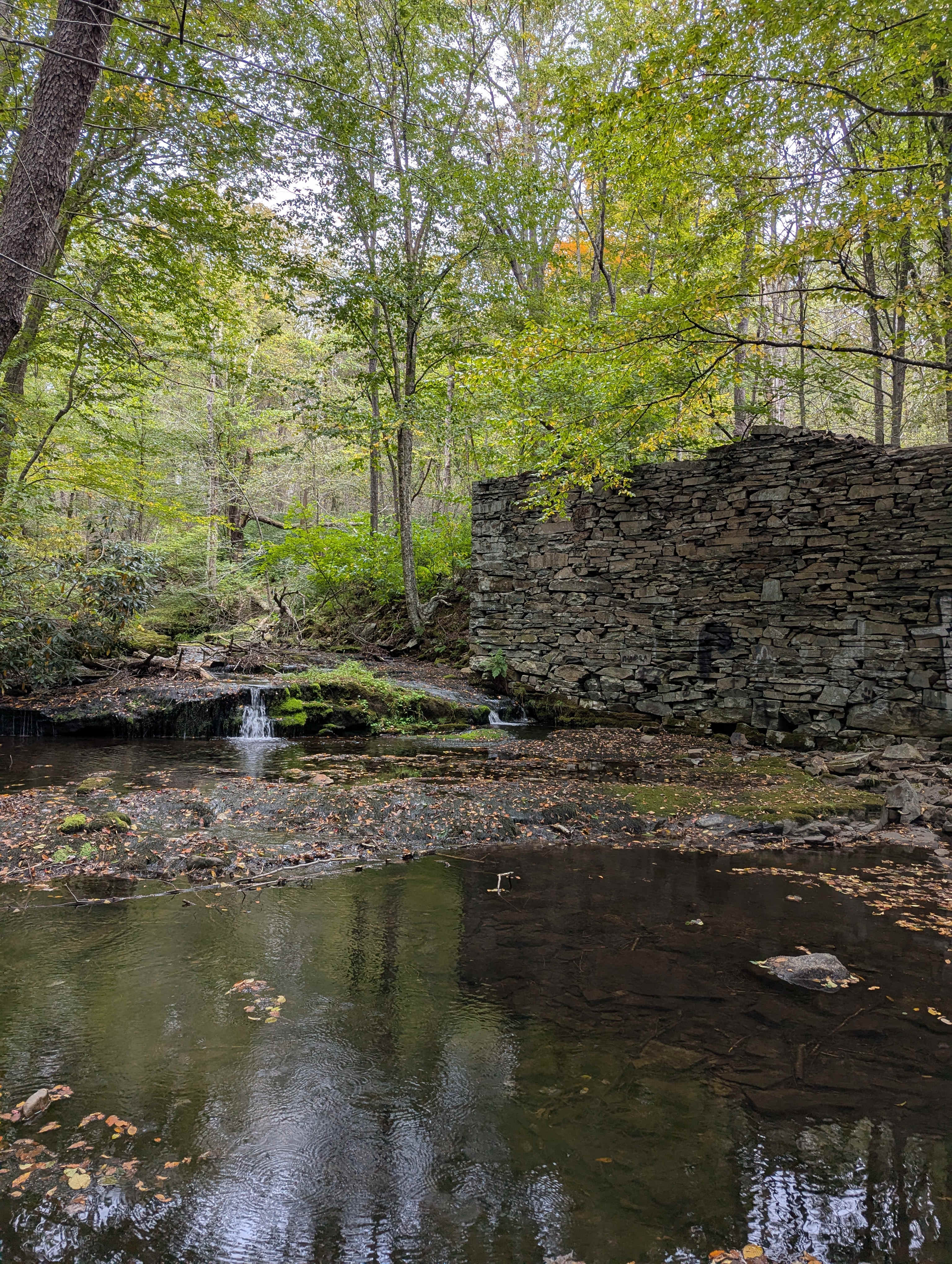 Pocono Cabin With No Name
