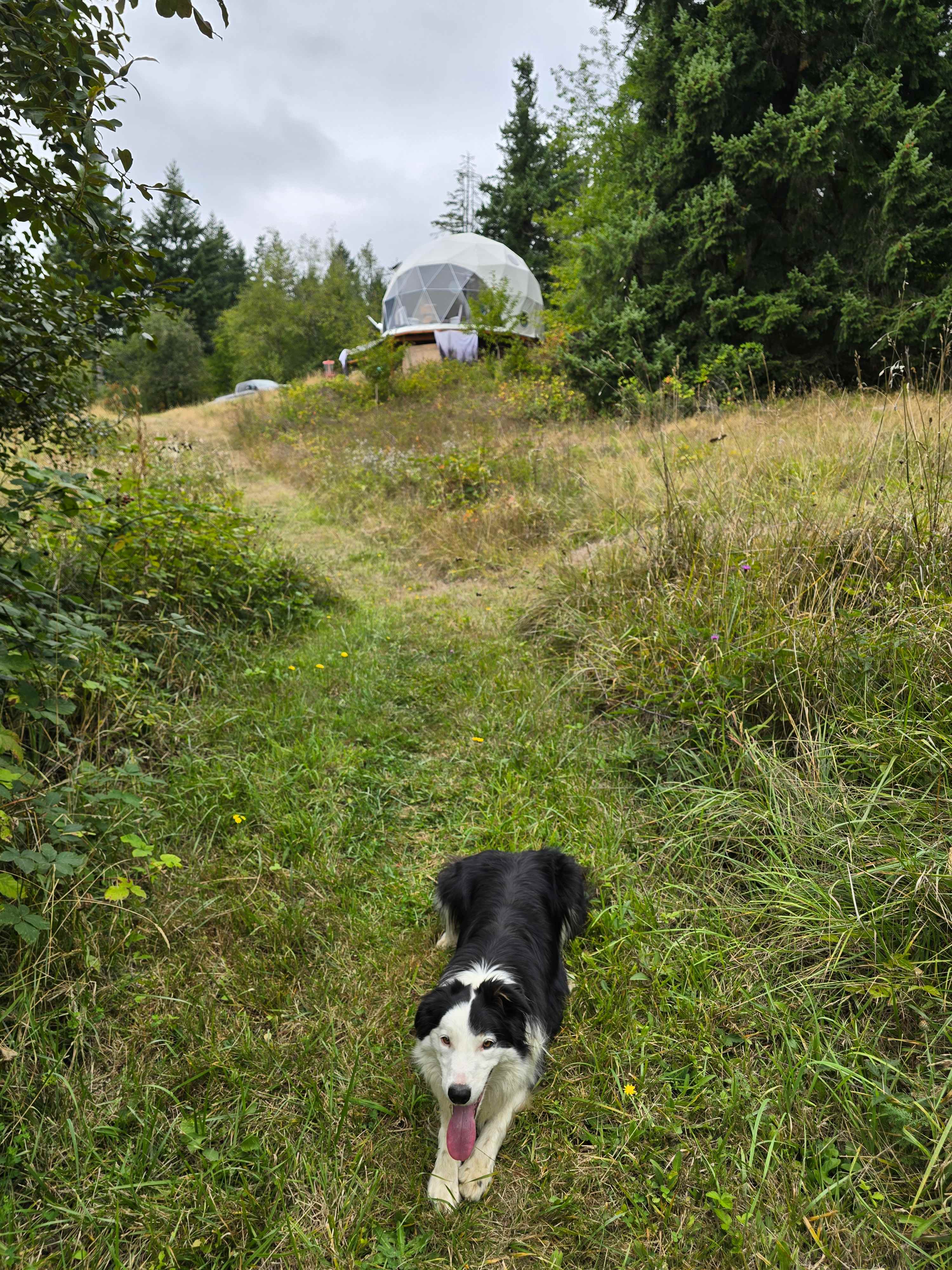 River View Dome - Goode Time Ranch