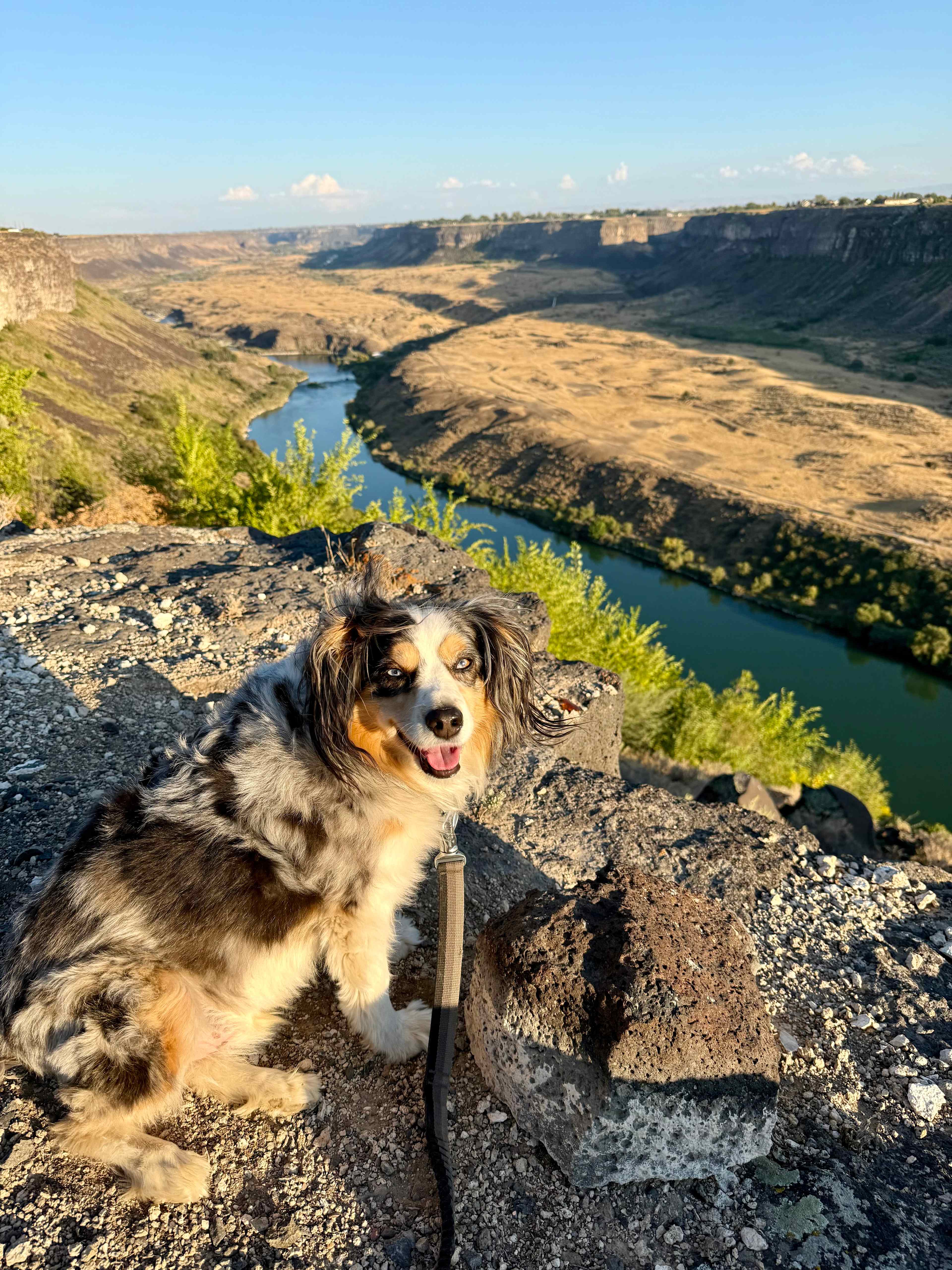 Snake River Canyon Views