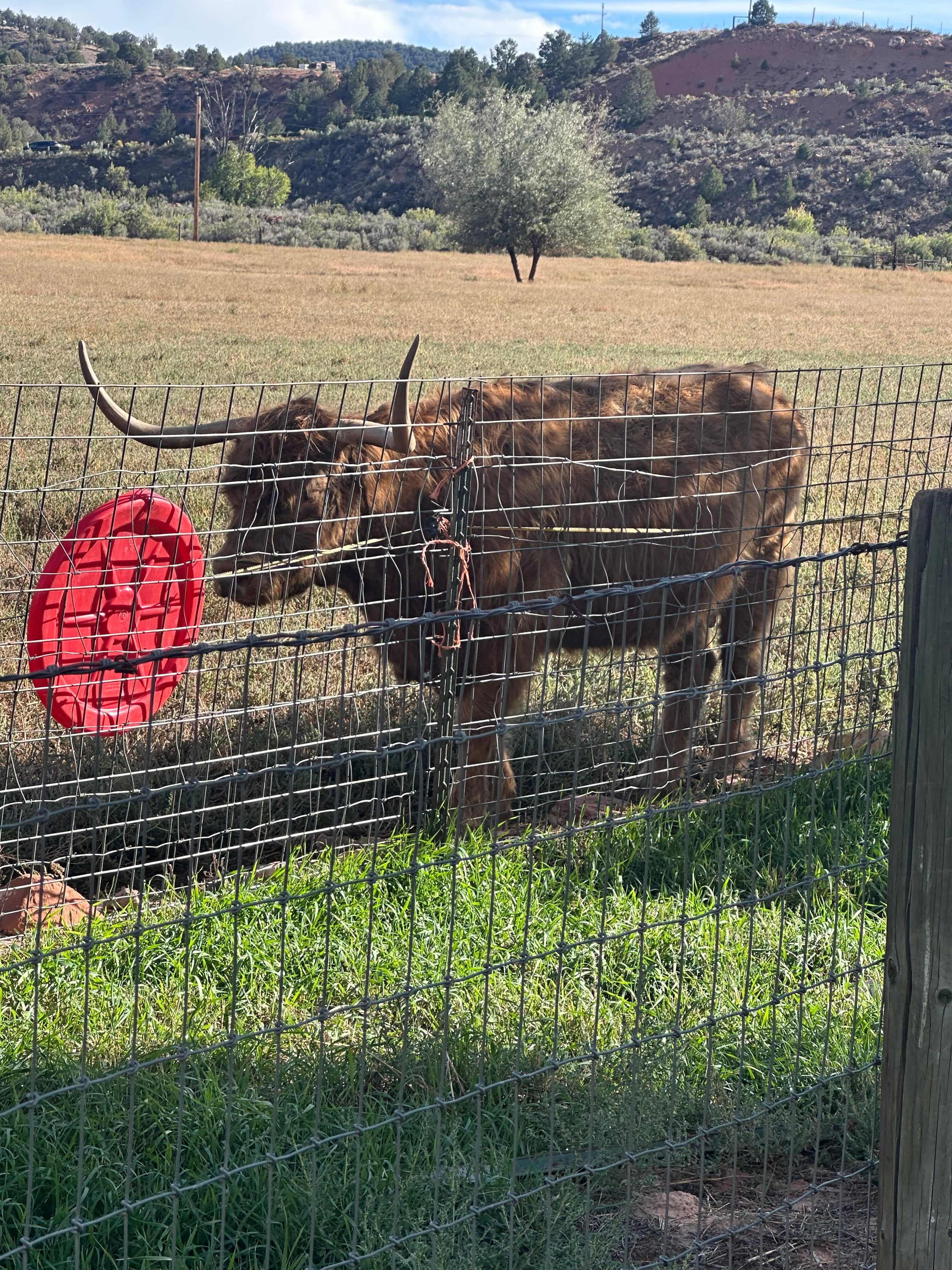 Riverside Rest for RVs