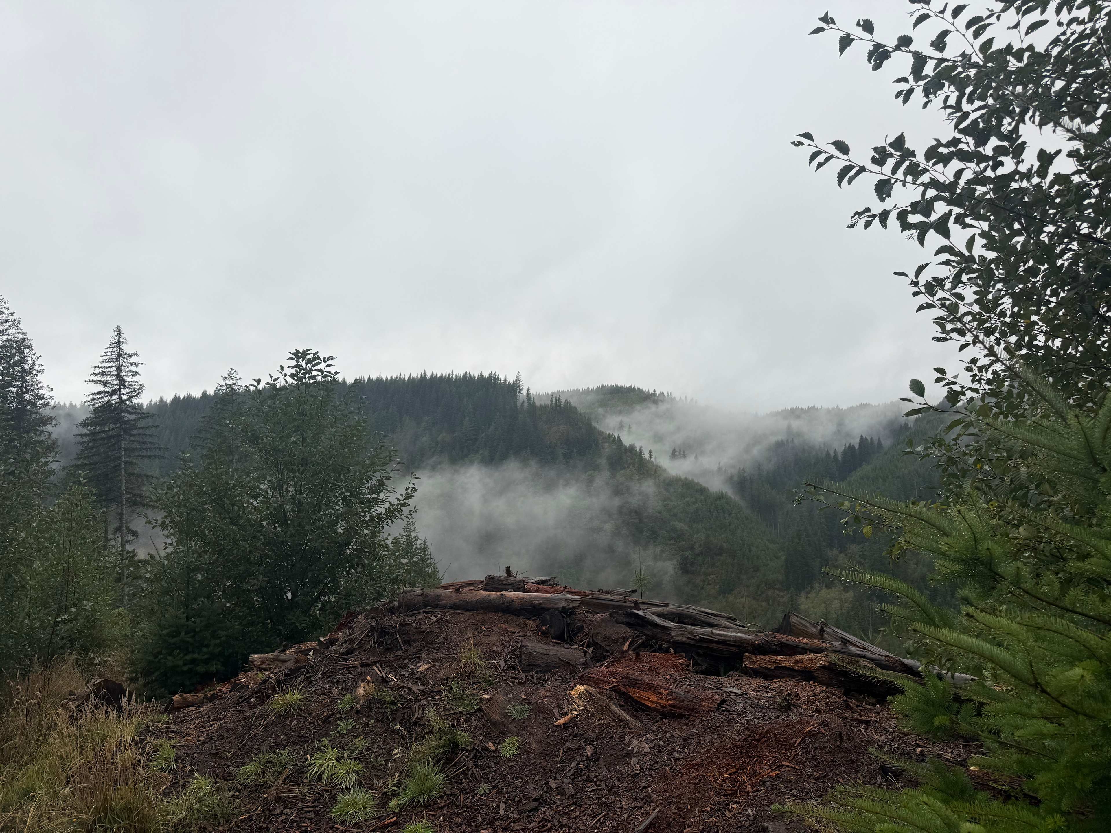 Morning view from campsite 8