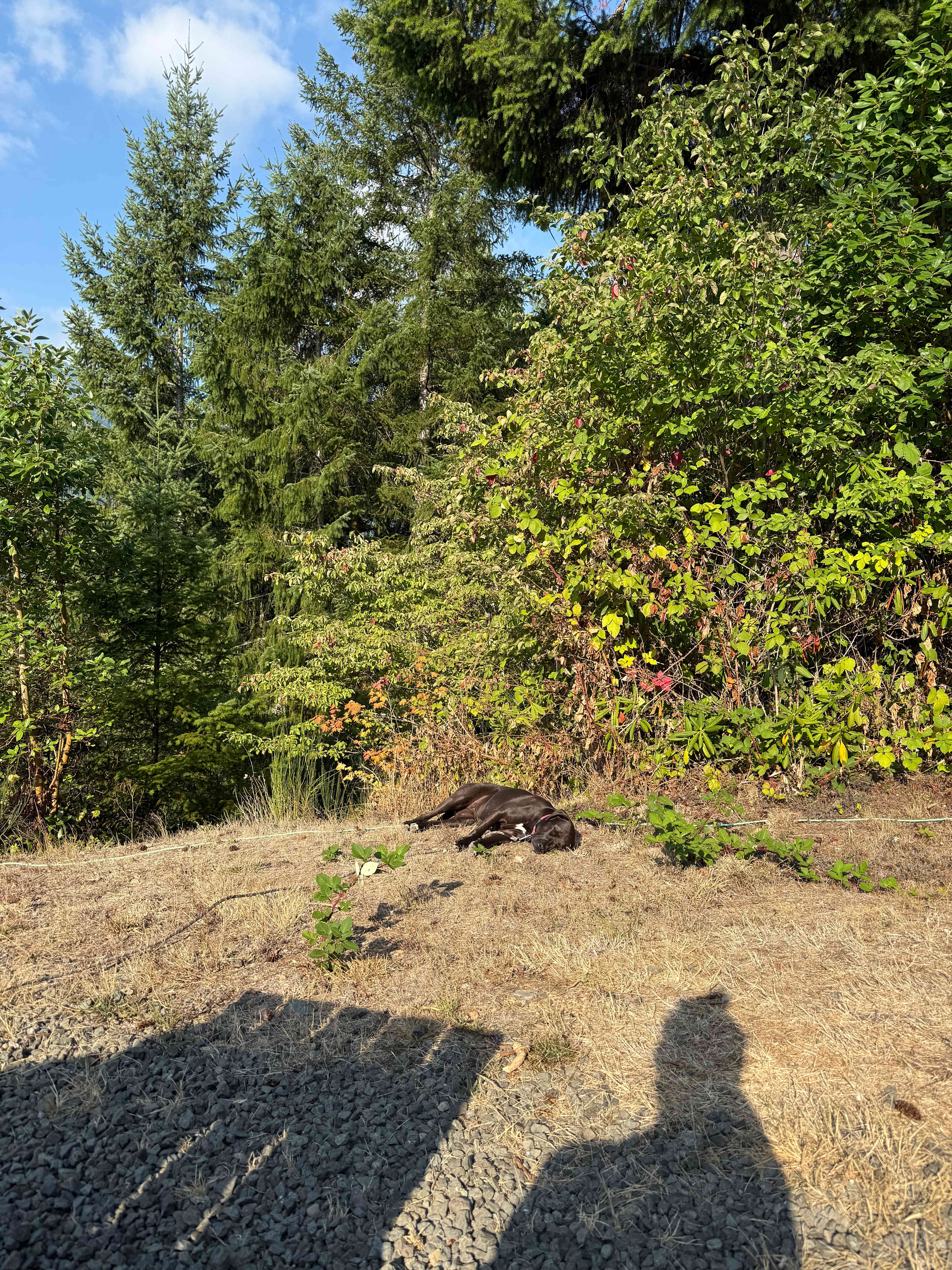 Good 'Dose' of Relaxation