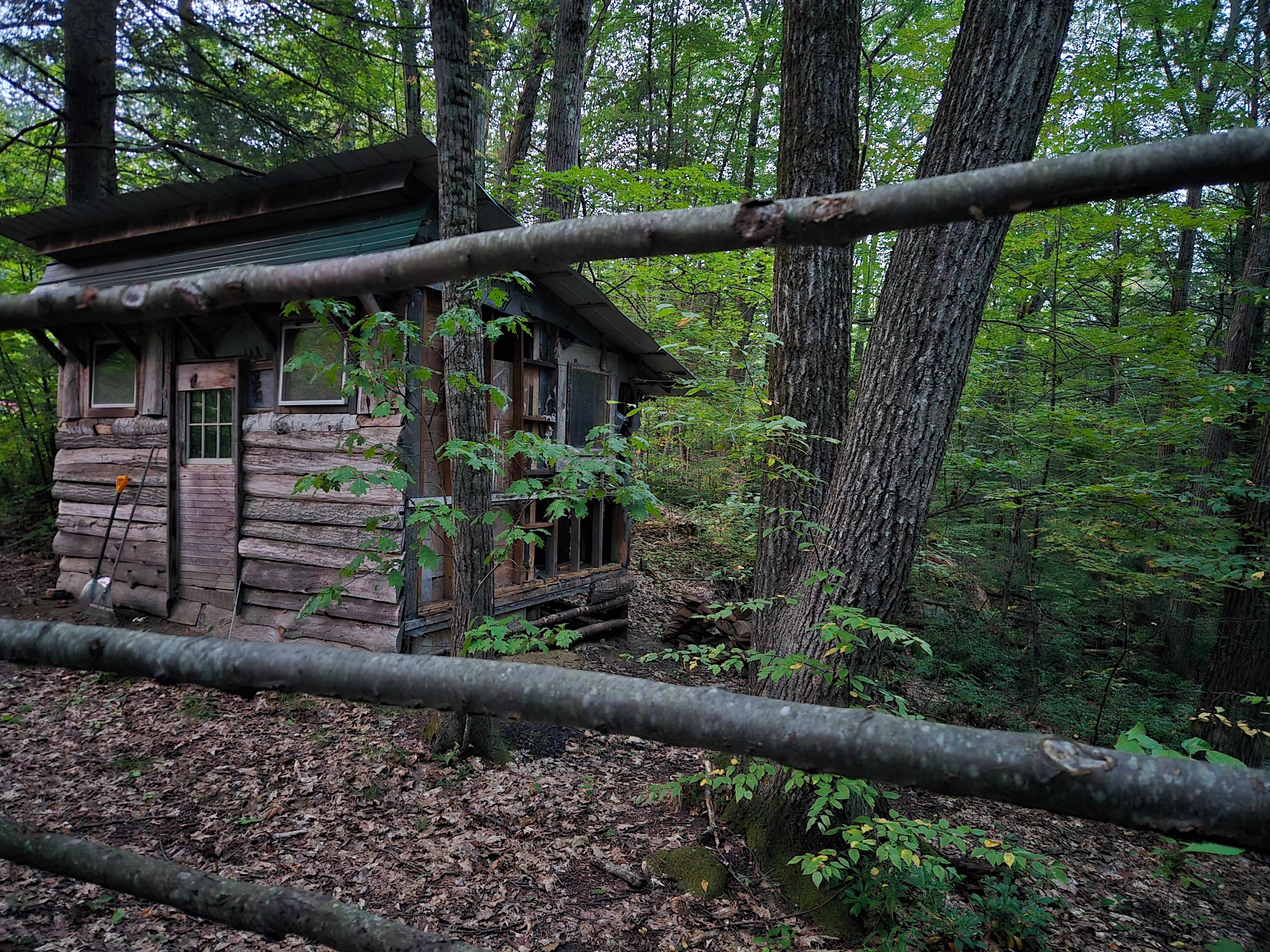 Magical Yurt in the Woods