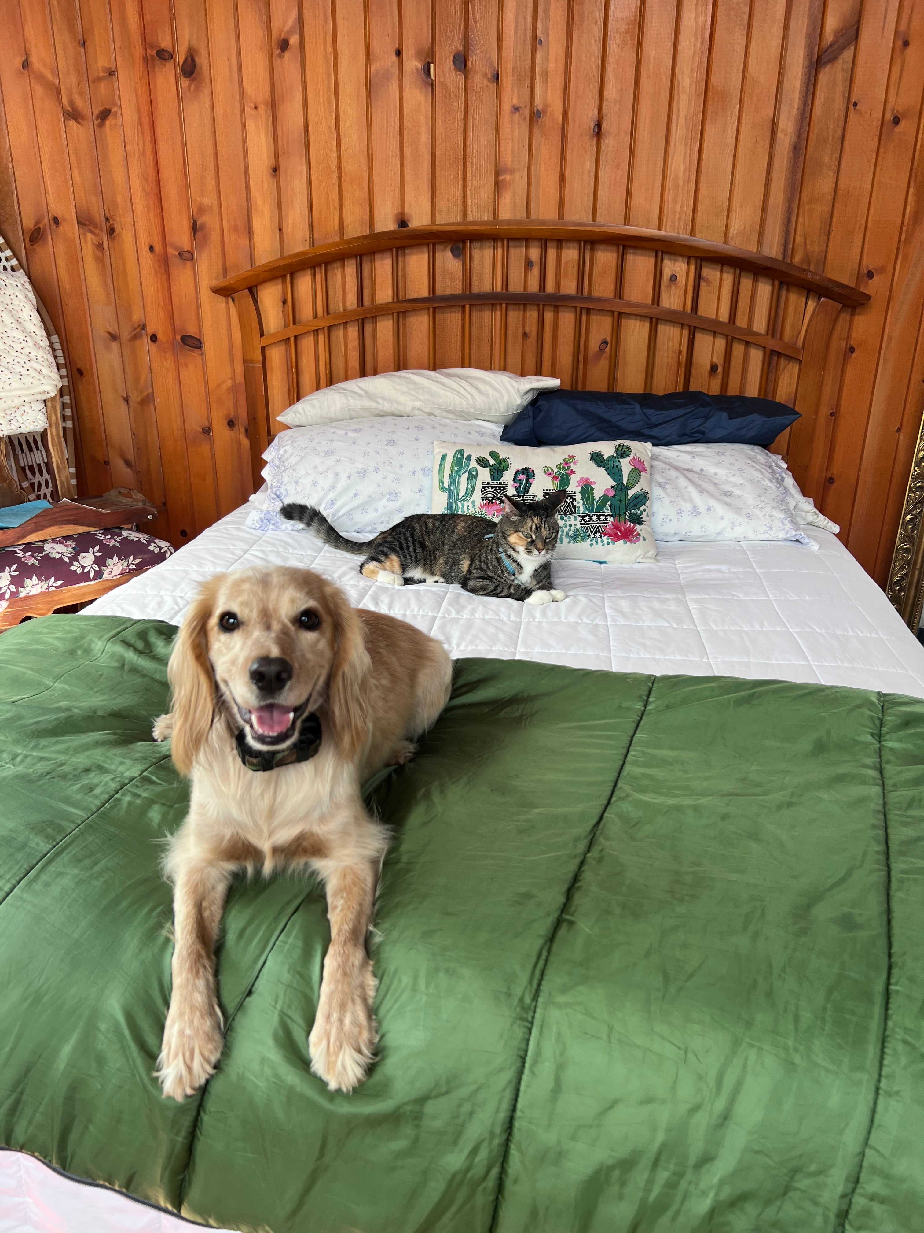 Both girls loved the cabin and the yurt 
