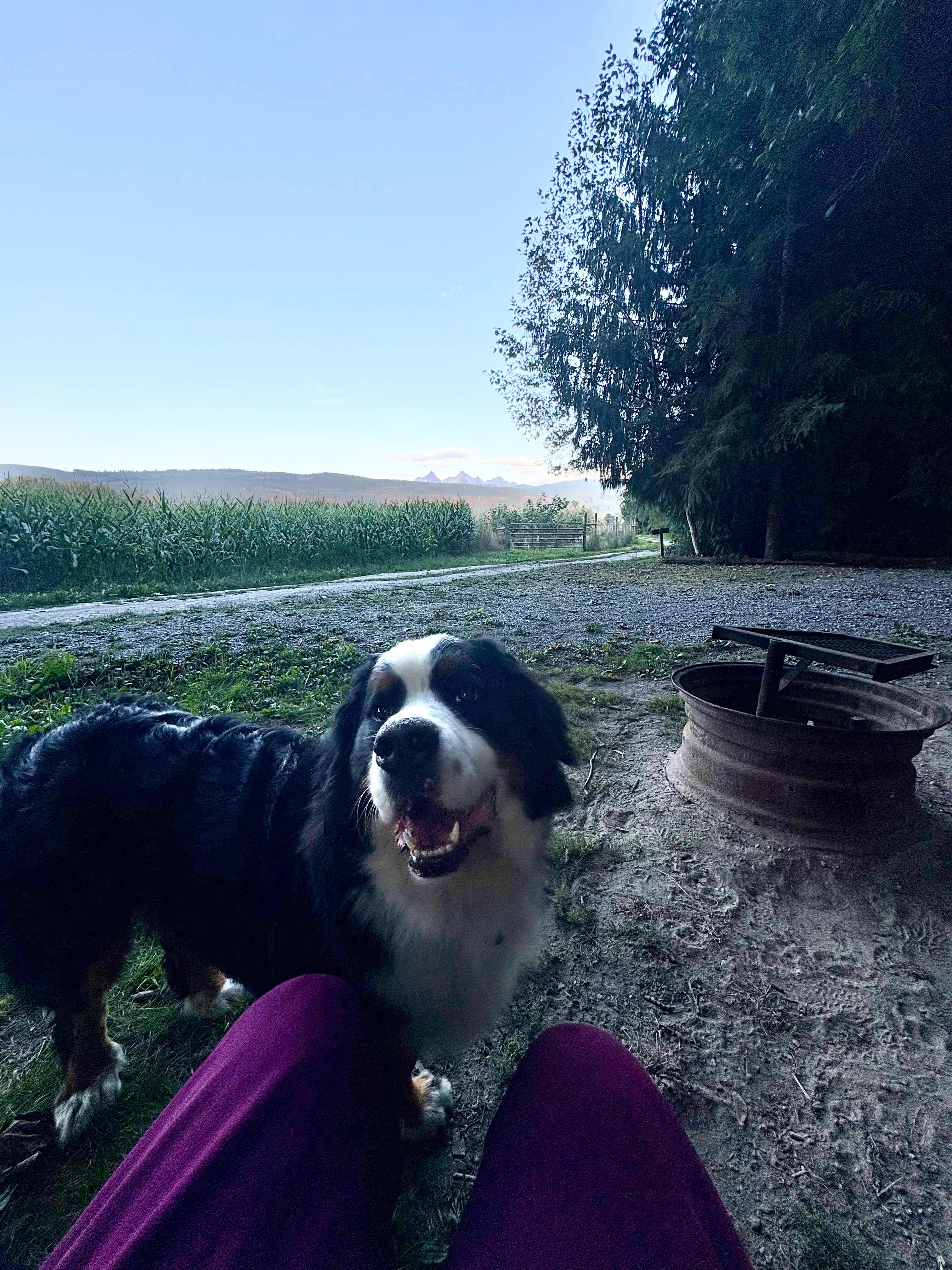 Mamas Garden River Getaway