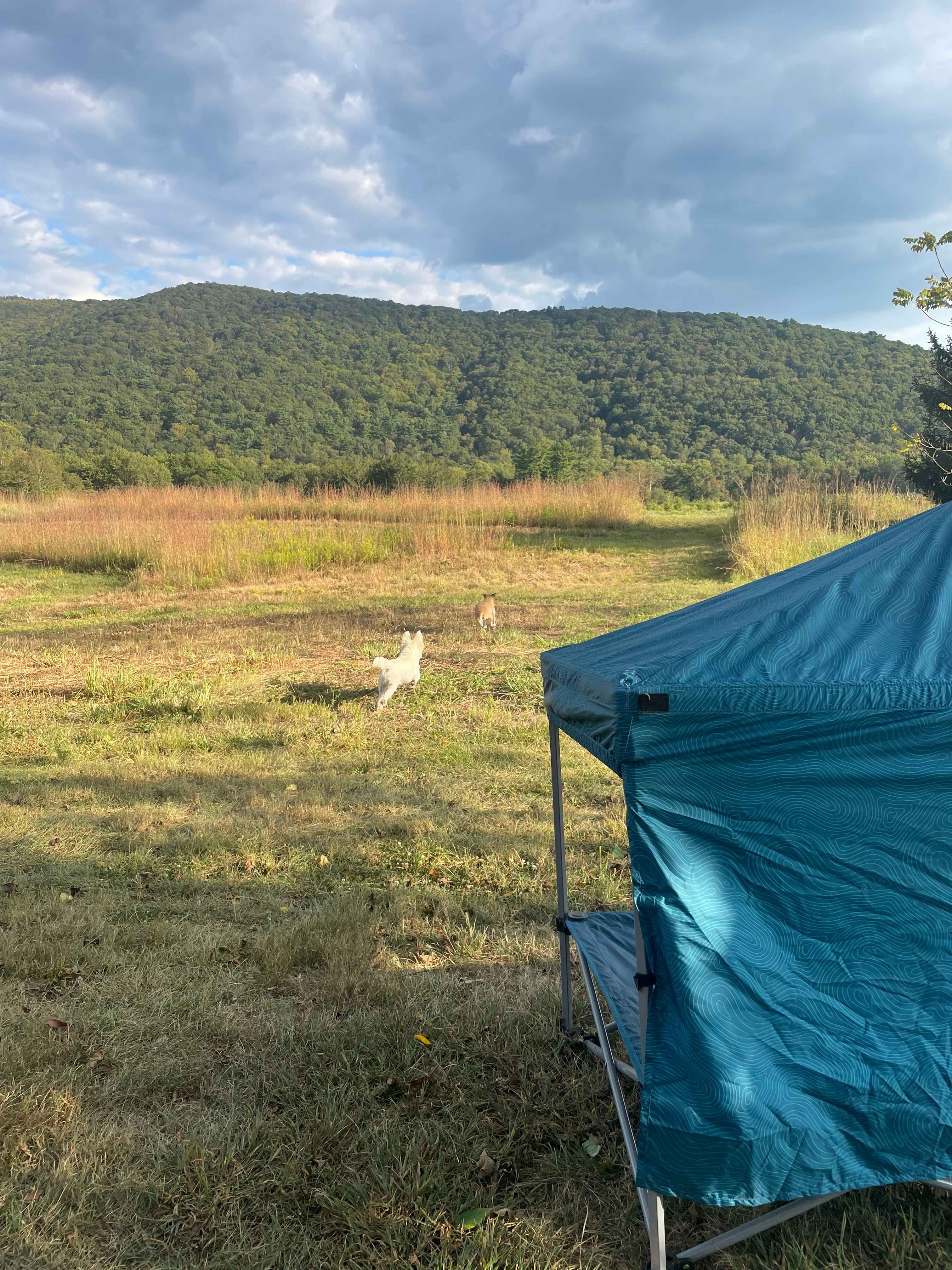 Peace & Quiet by the River!