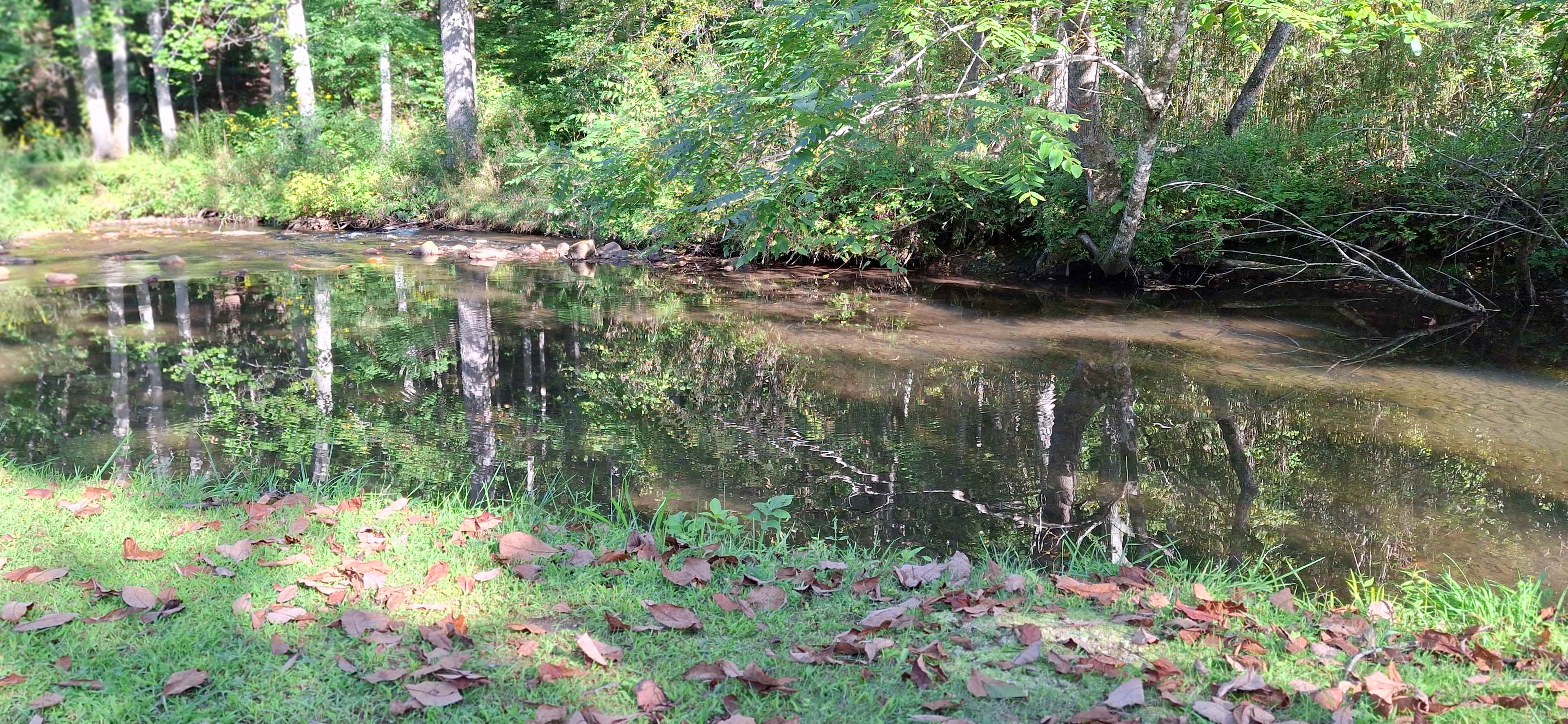 Coweeta Creek Campground