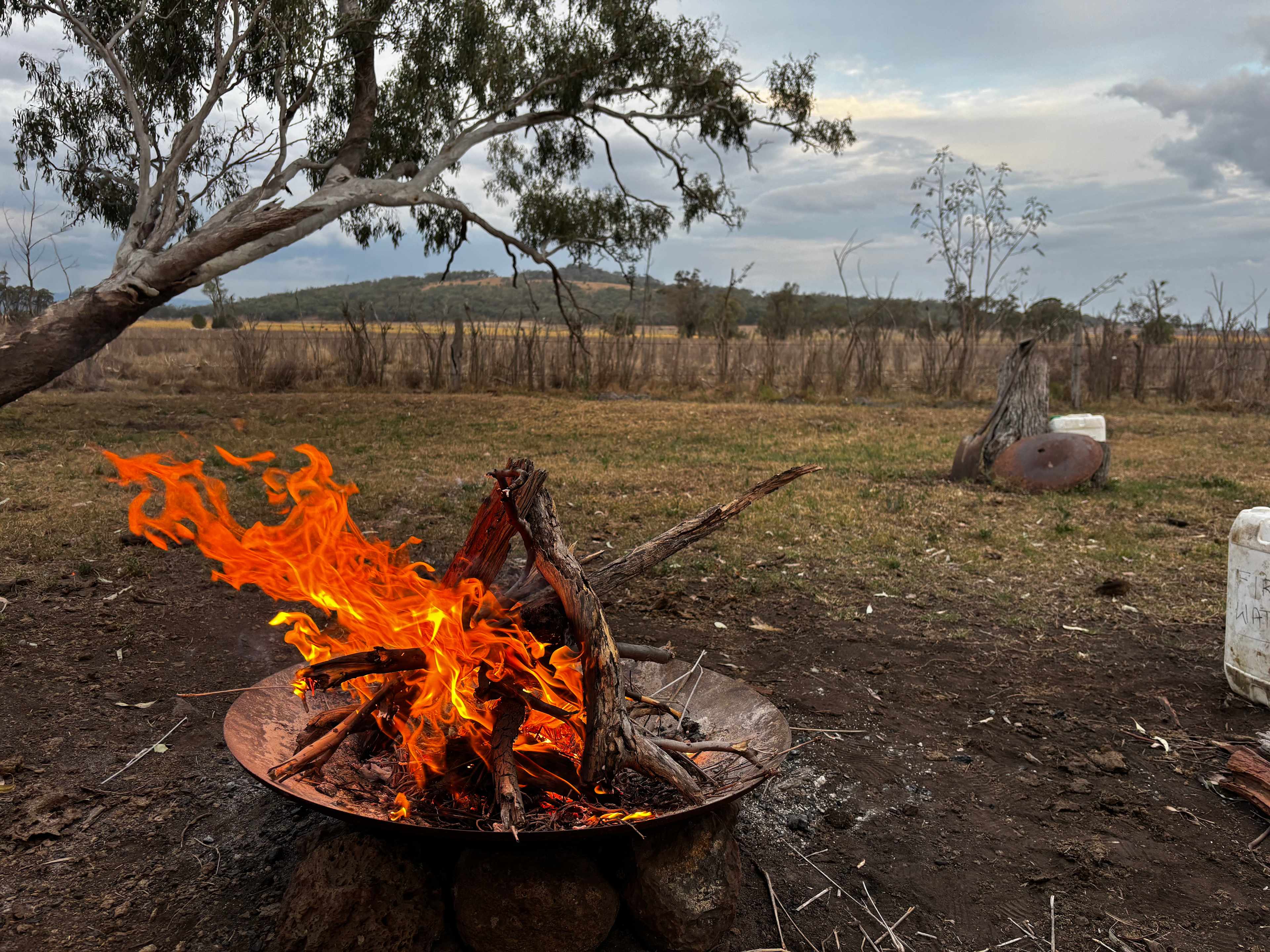 Bunya Mountains View