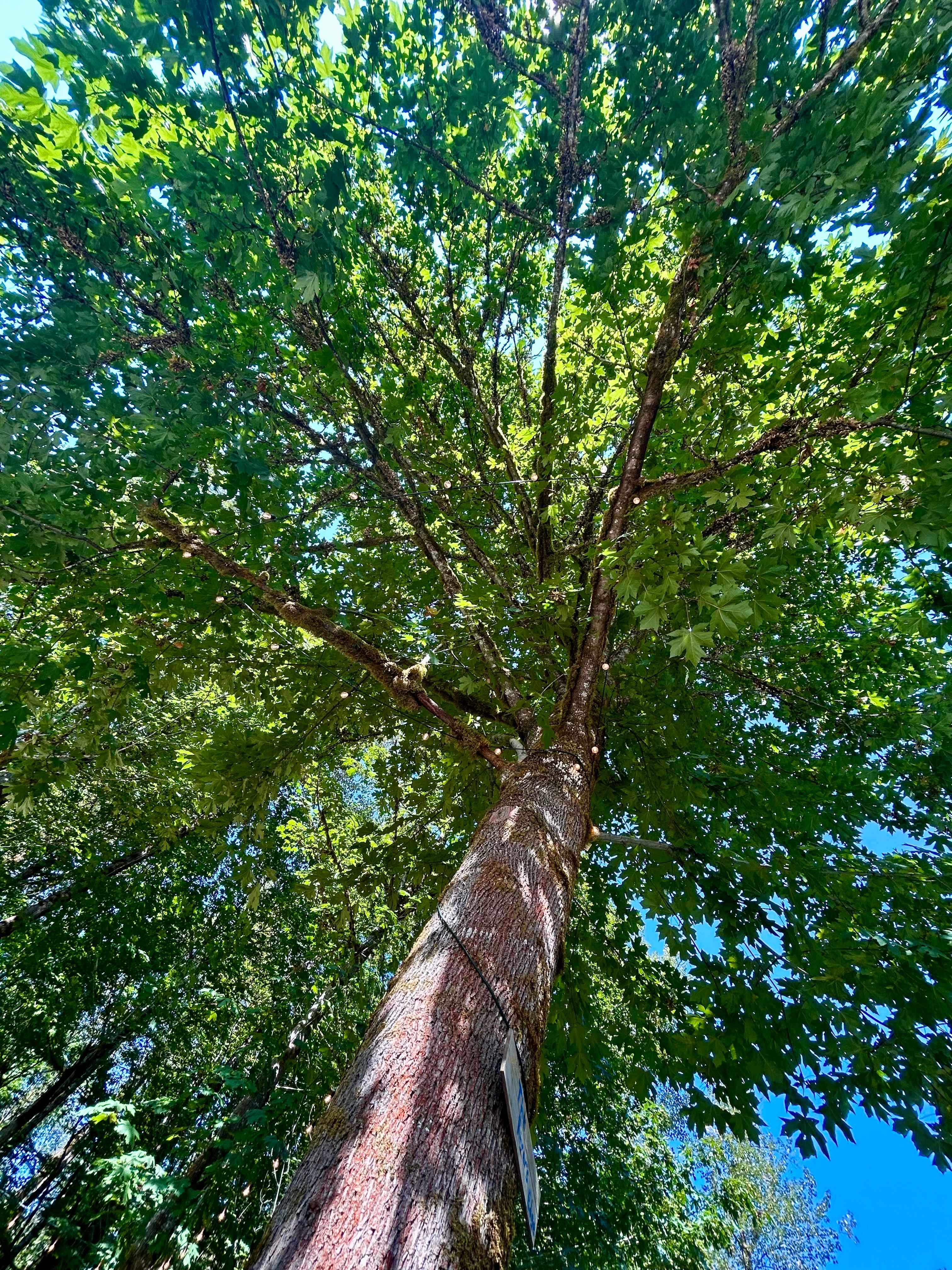 The River's Edge Camp Ground