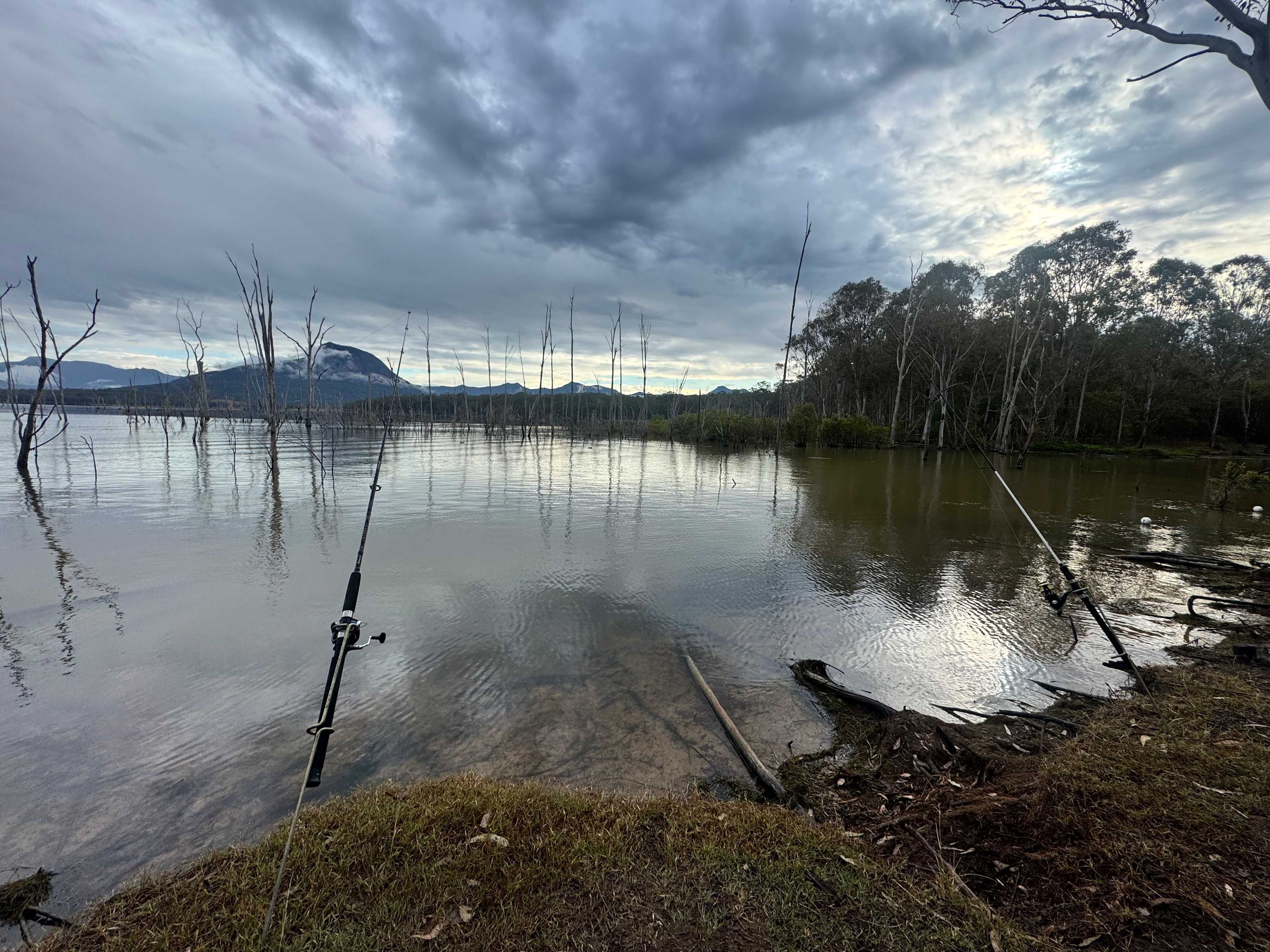 Moogerah Lakeside Bush Retreat