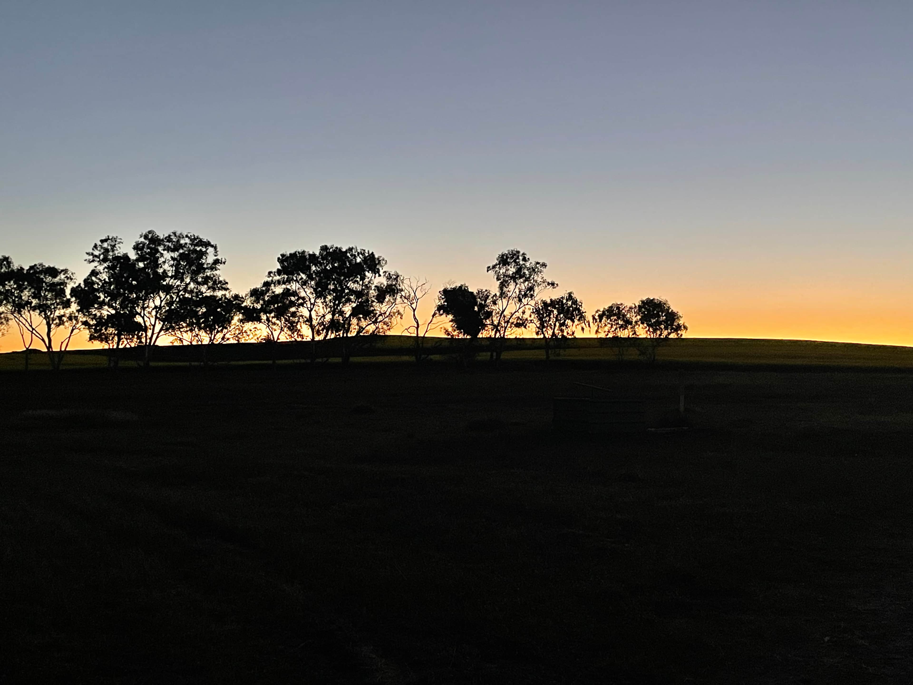 Waddi Bush Camp and Caravan Park