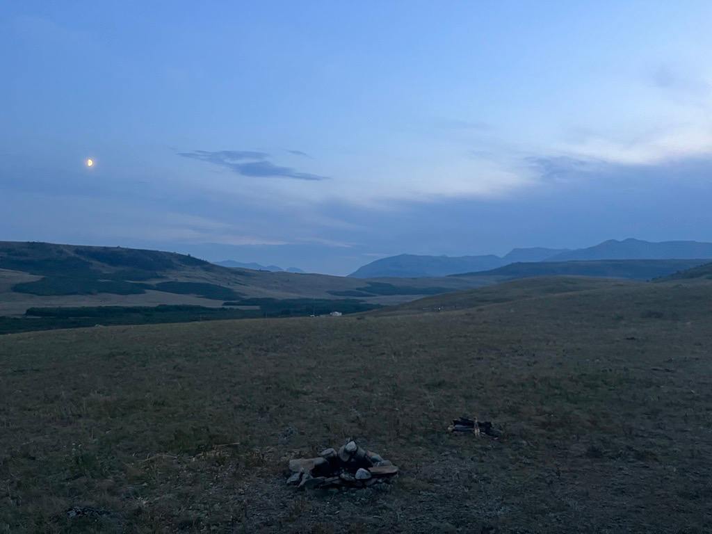 Fire ring. No fires were allowed, though.