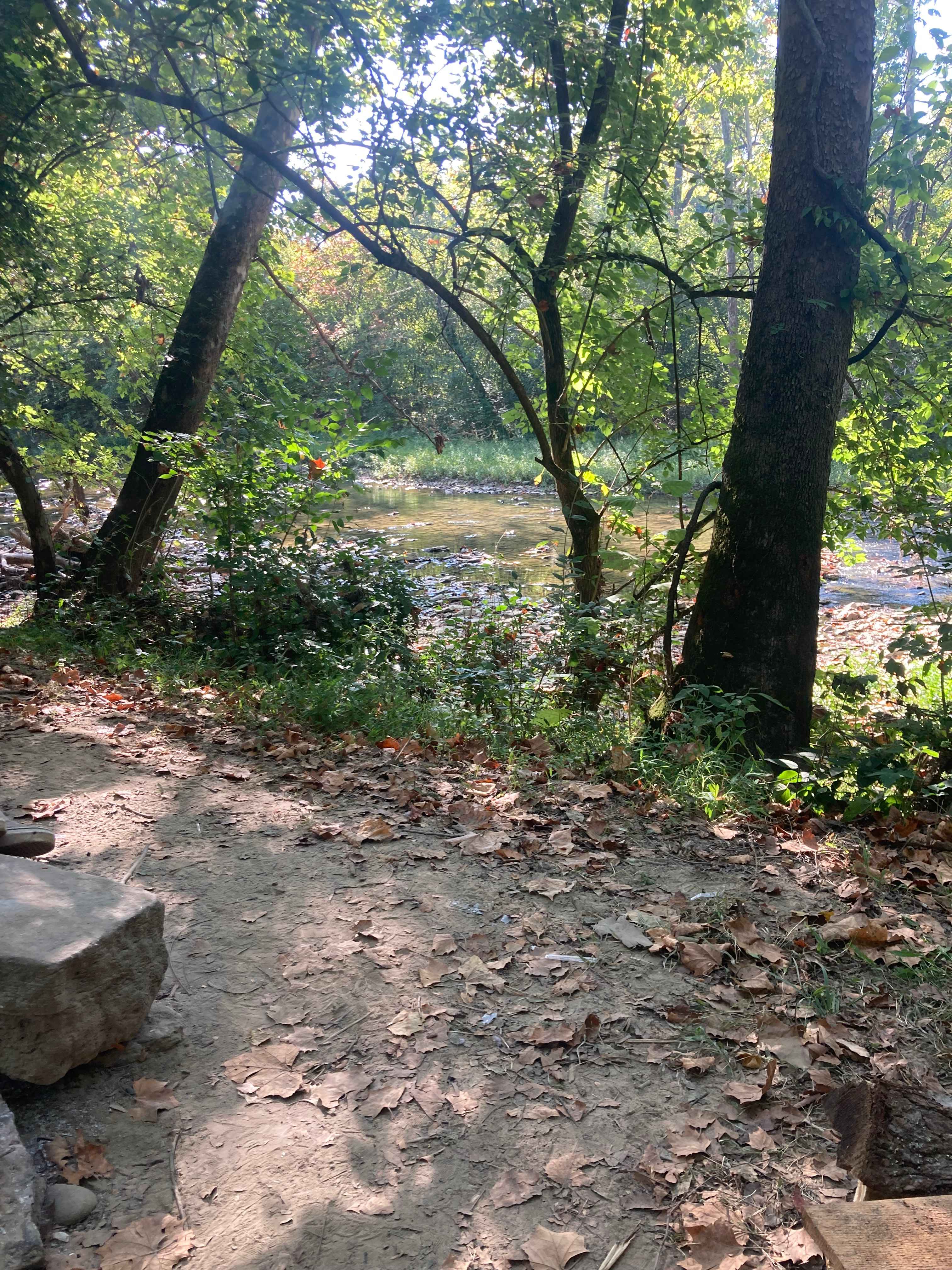 View from site 1 fire ring.