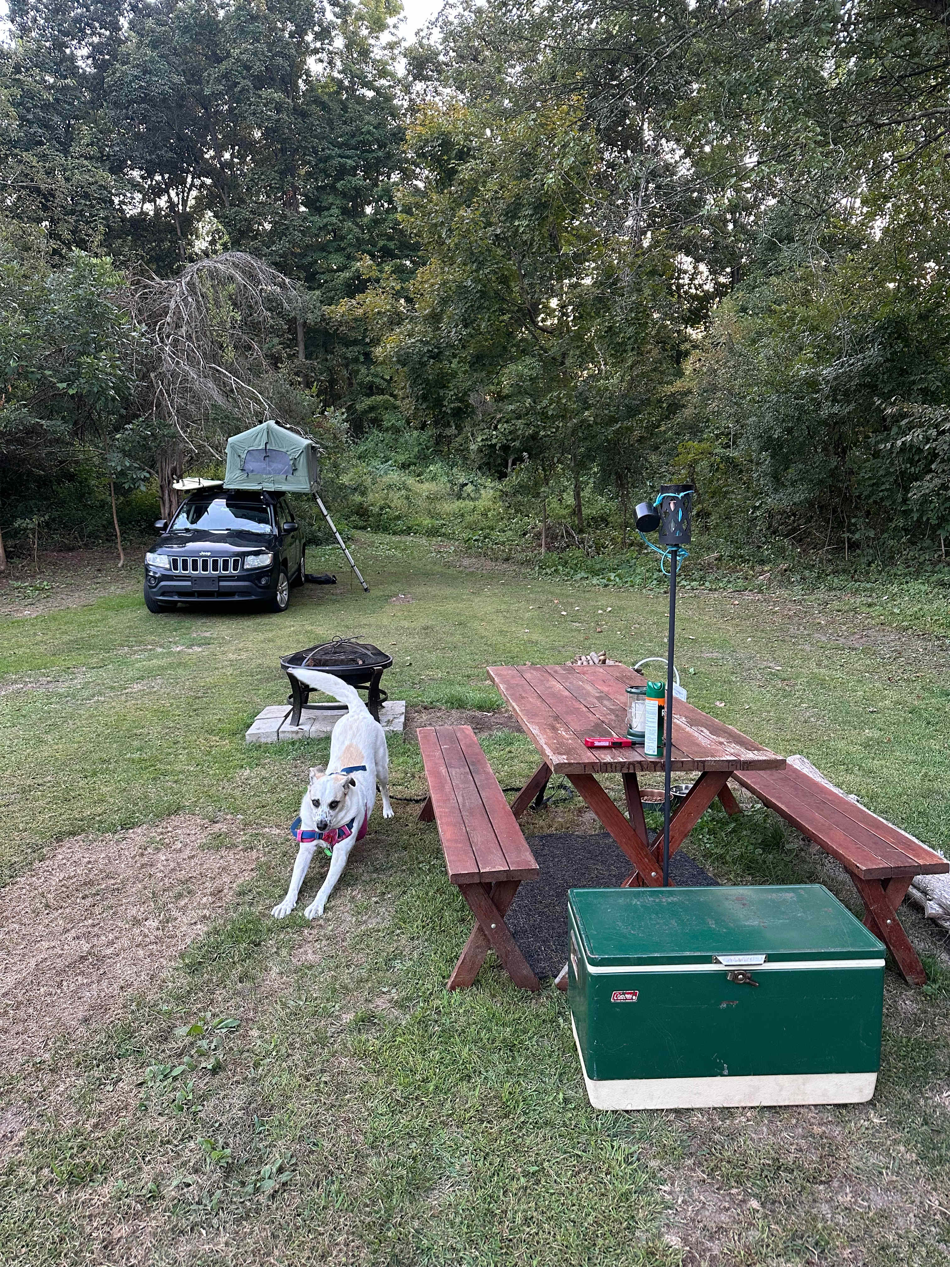 Taconic Beautiful Fall Camping!