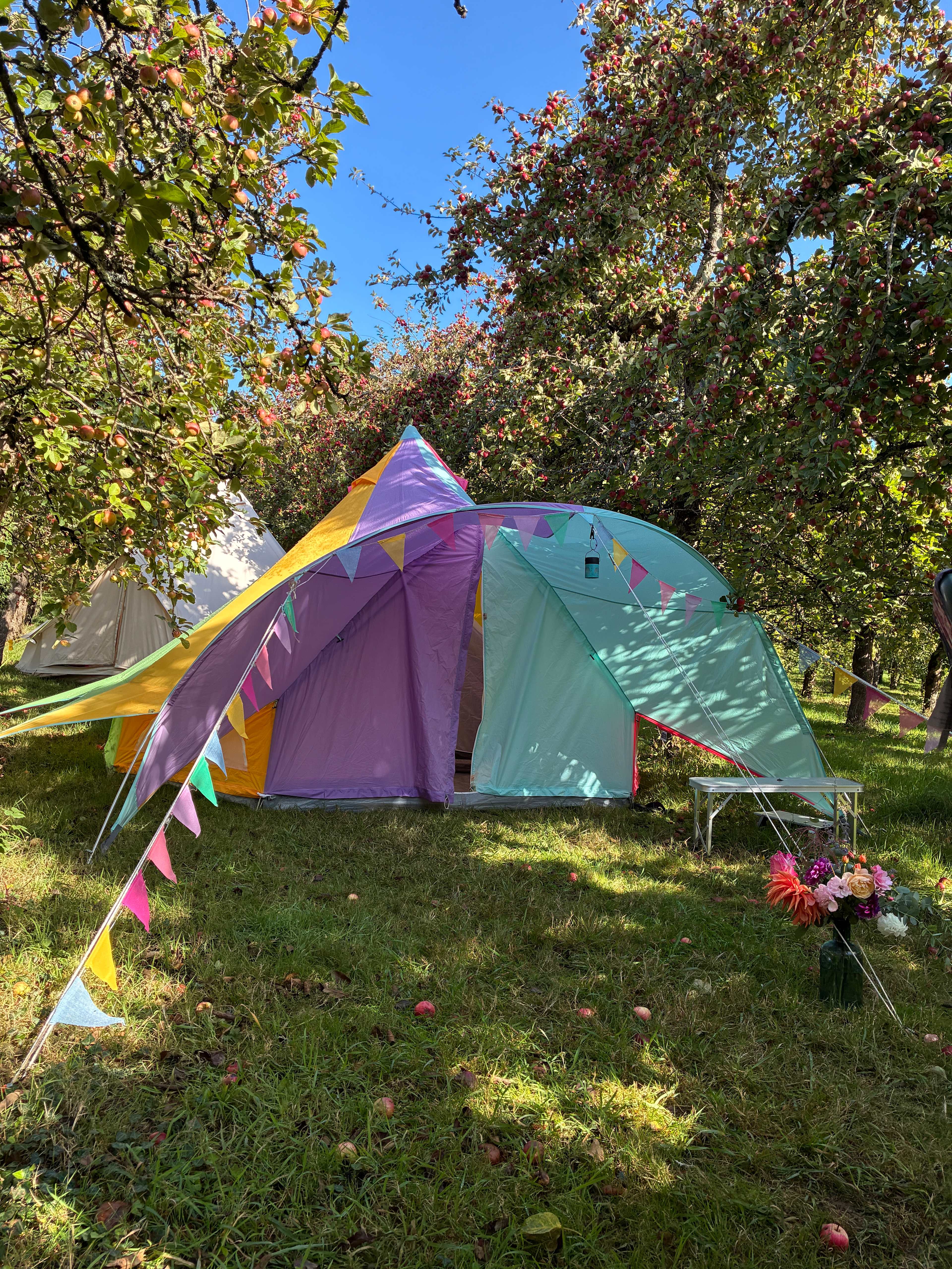 Cider Farm Orchard Campsite