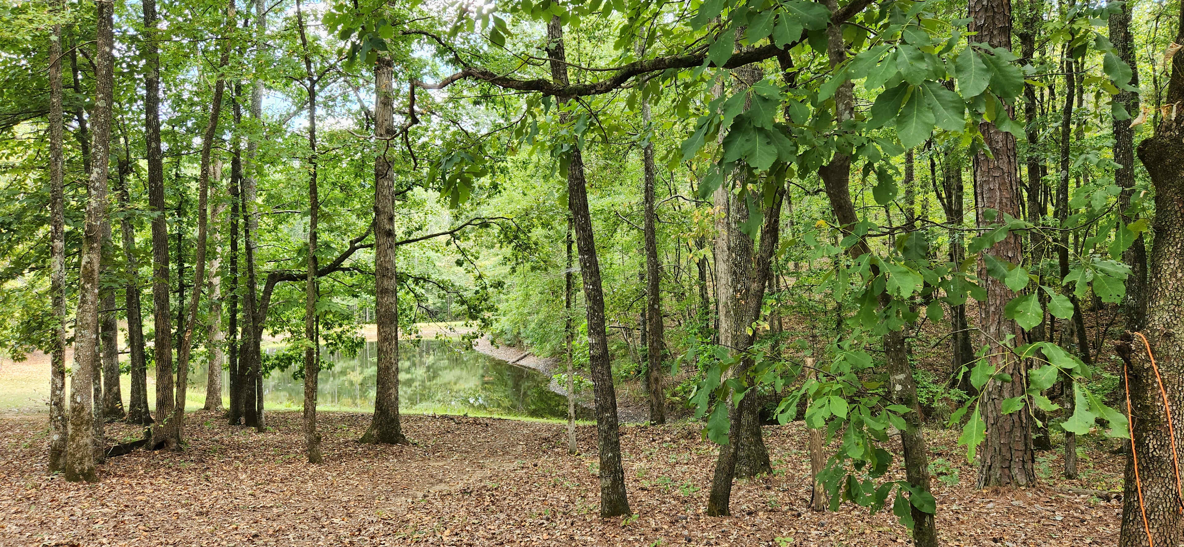 Hidden Branch Campground