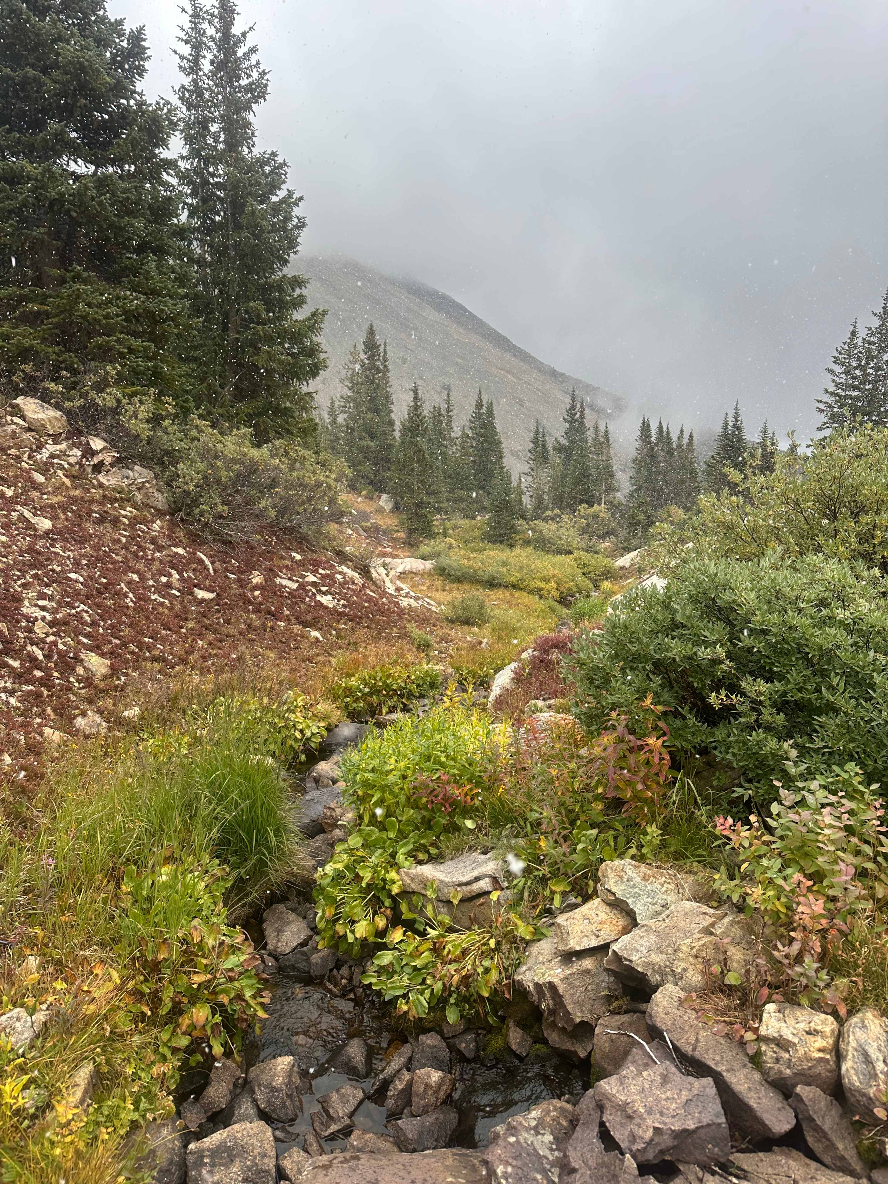 Gondola Village at Holy Cross
