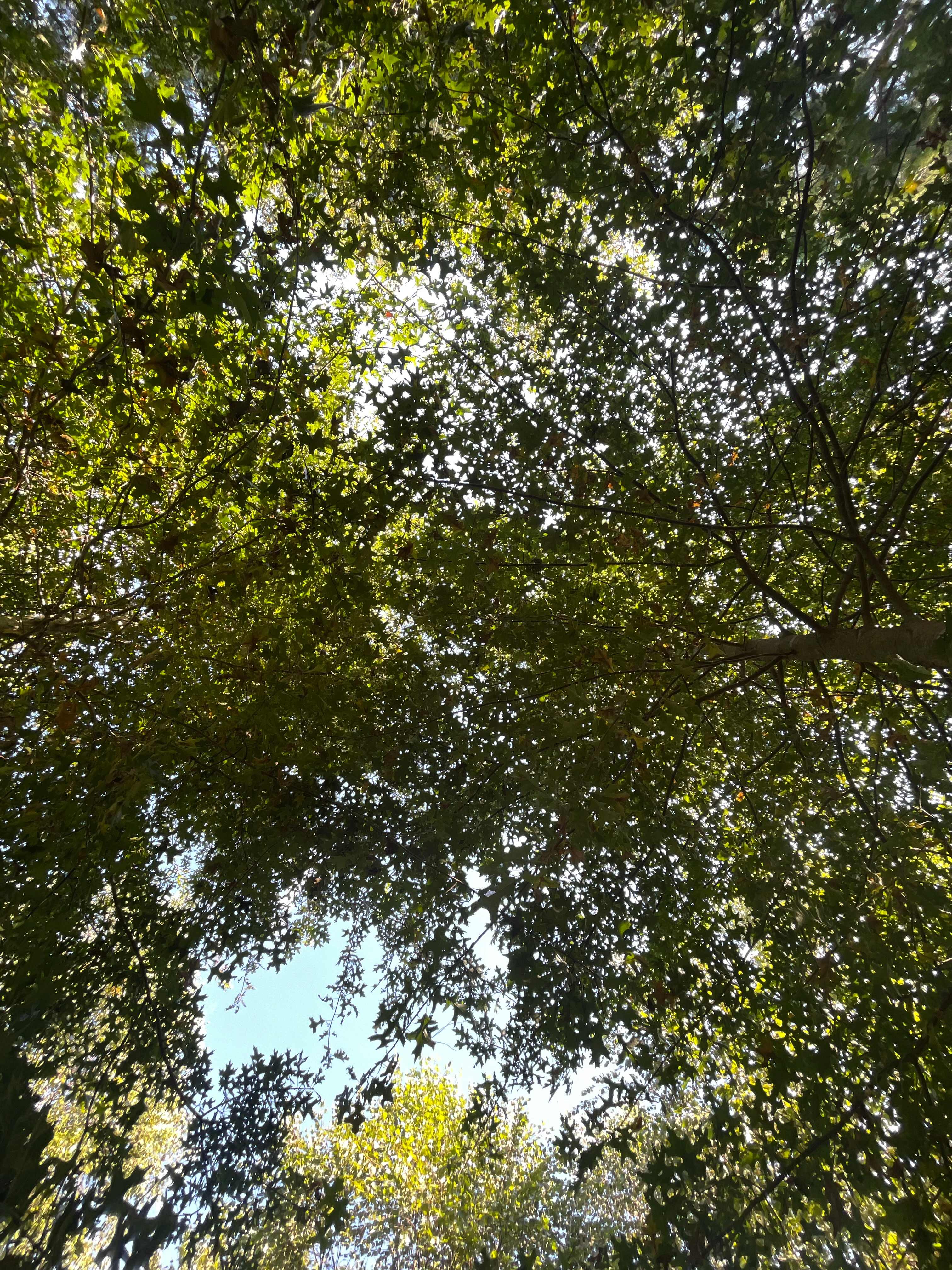 Stoney Creek Campground