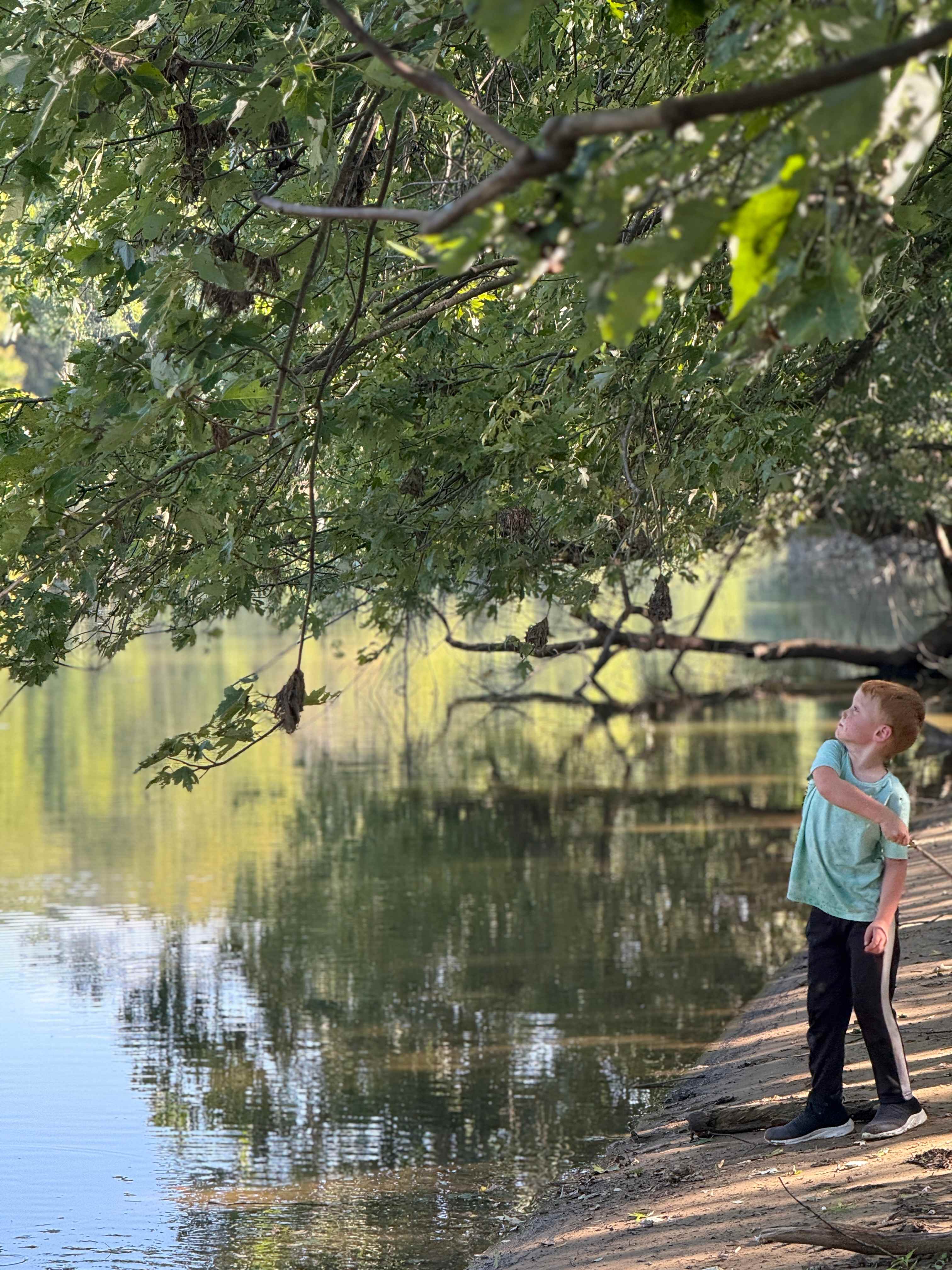 Wildcat Creek Farm in Tyrone