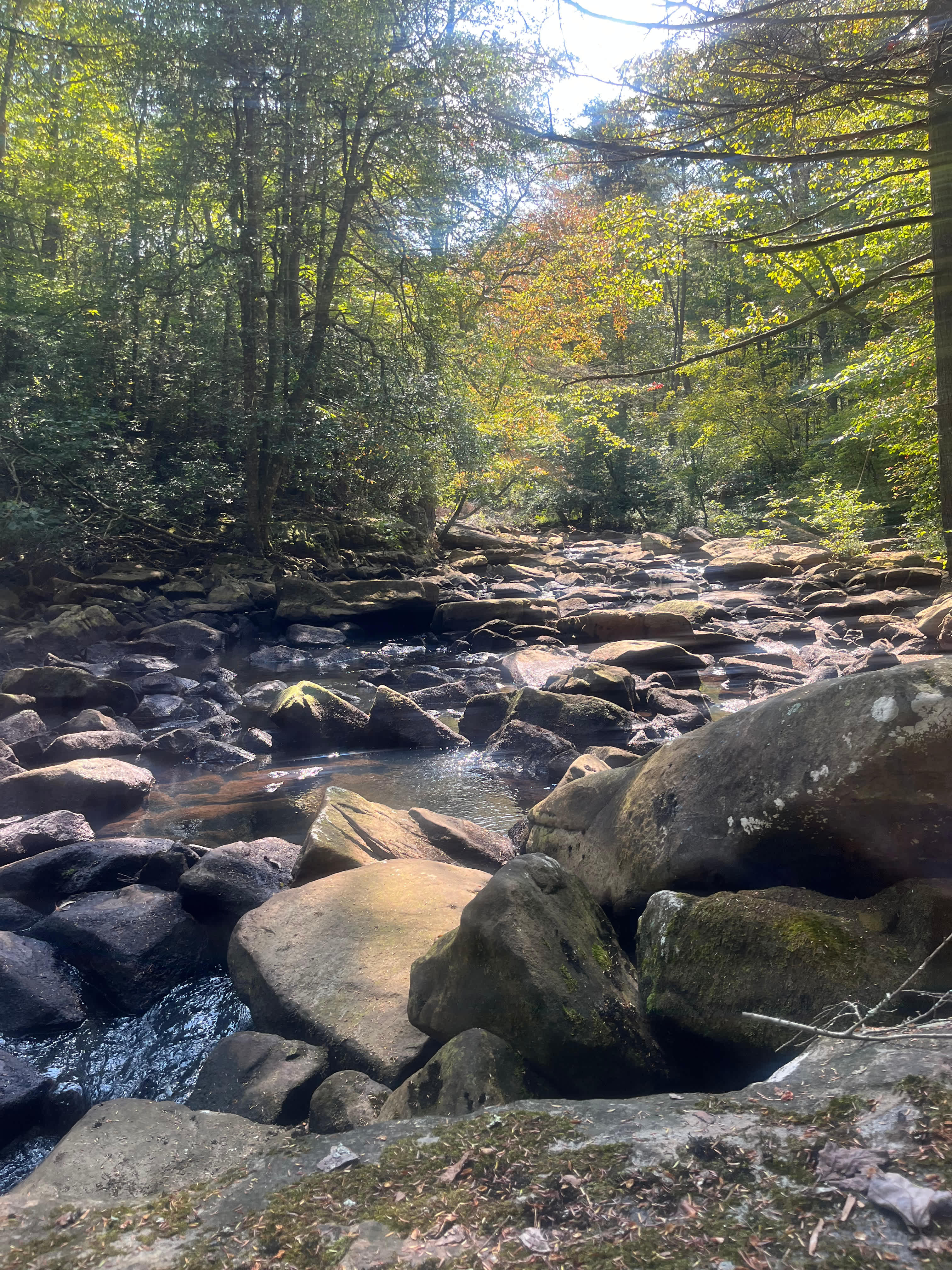 Hammock’Sway Private Off Grid Camp