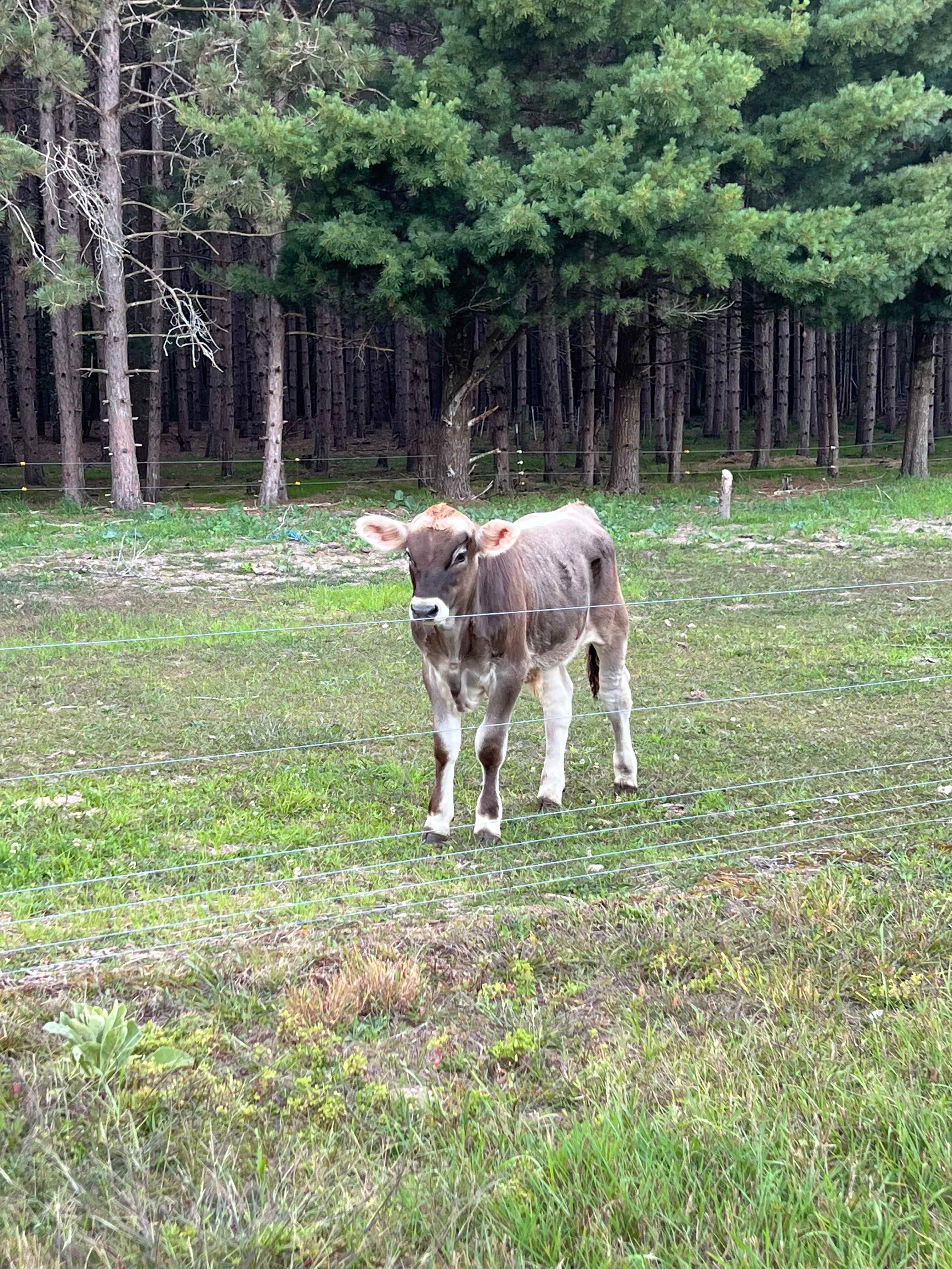 Jackson Station Leelanau