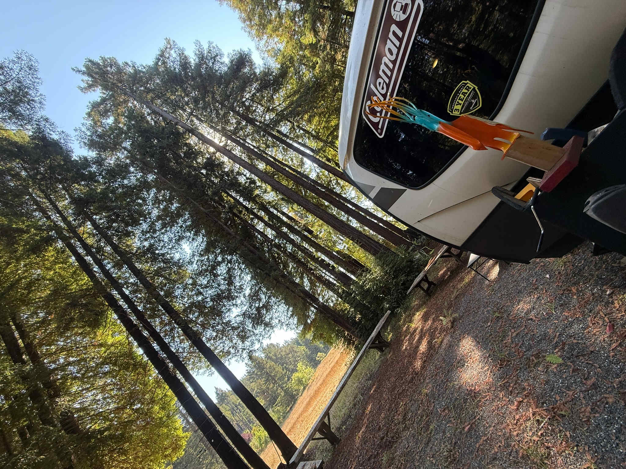 Beautiful view across open pasture