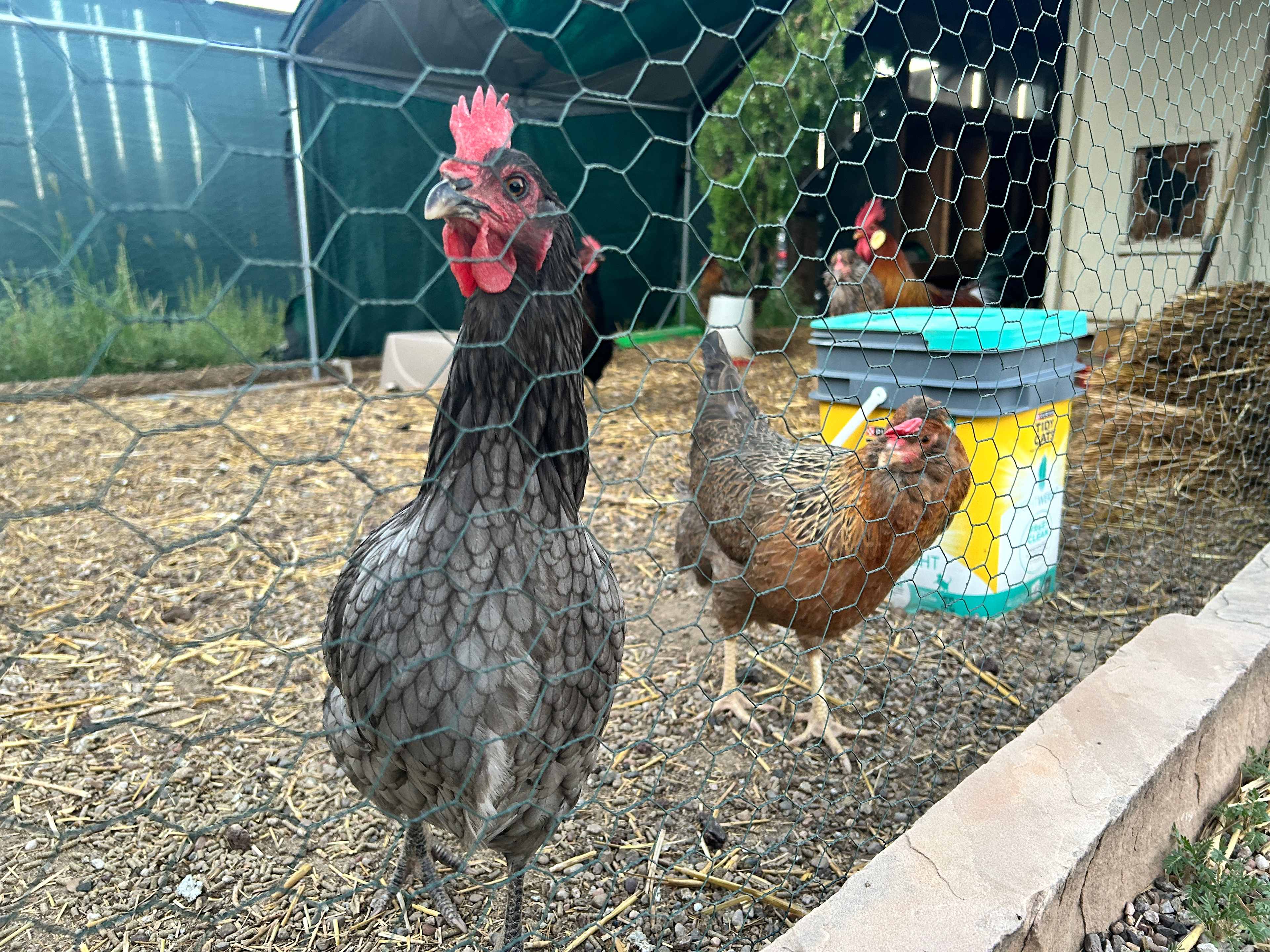 The girls! 😍