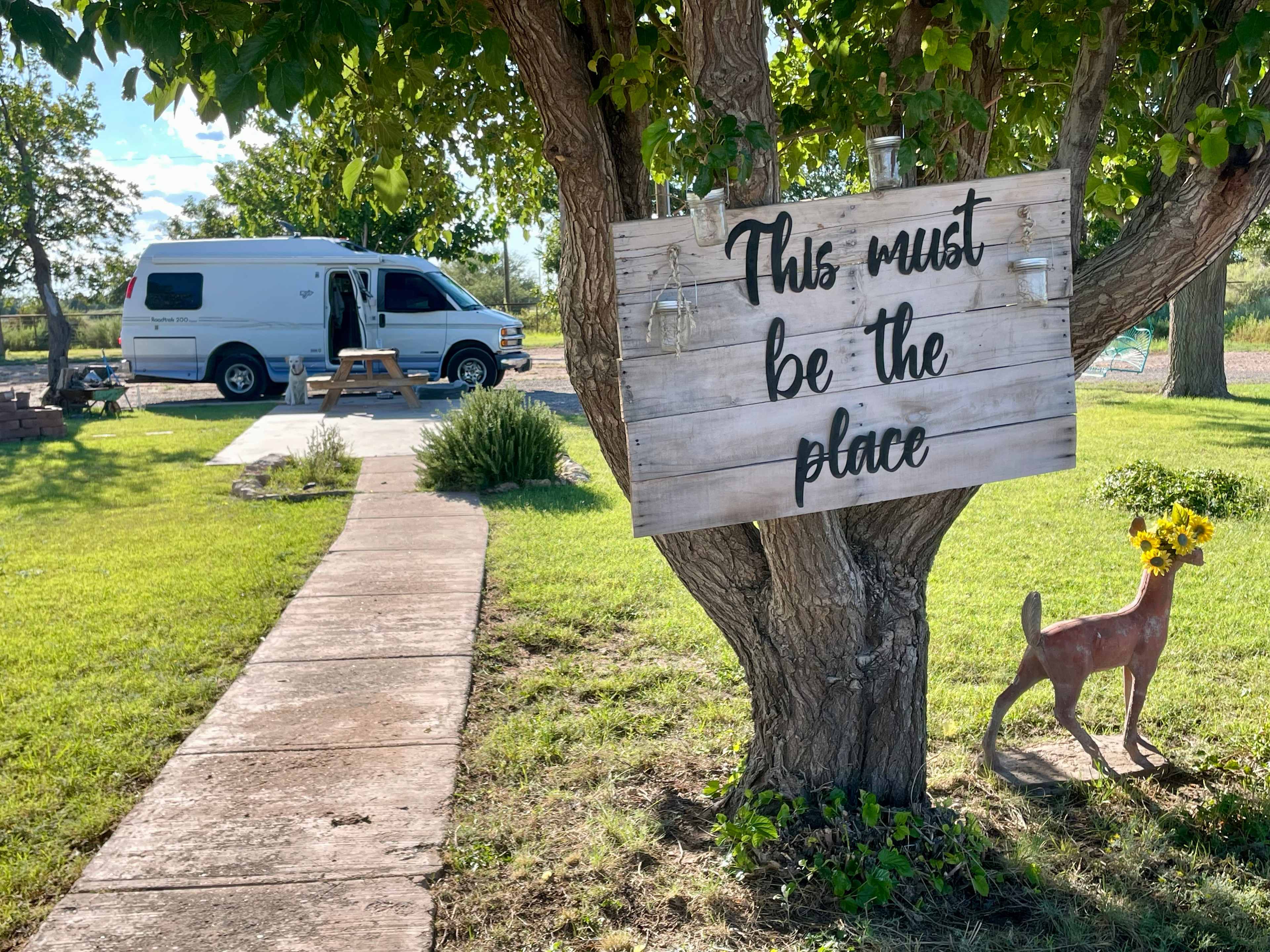 Desert Rose Stopover