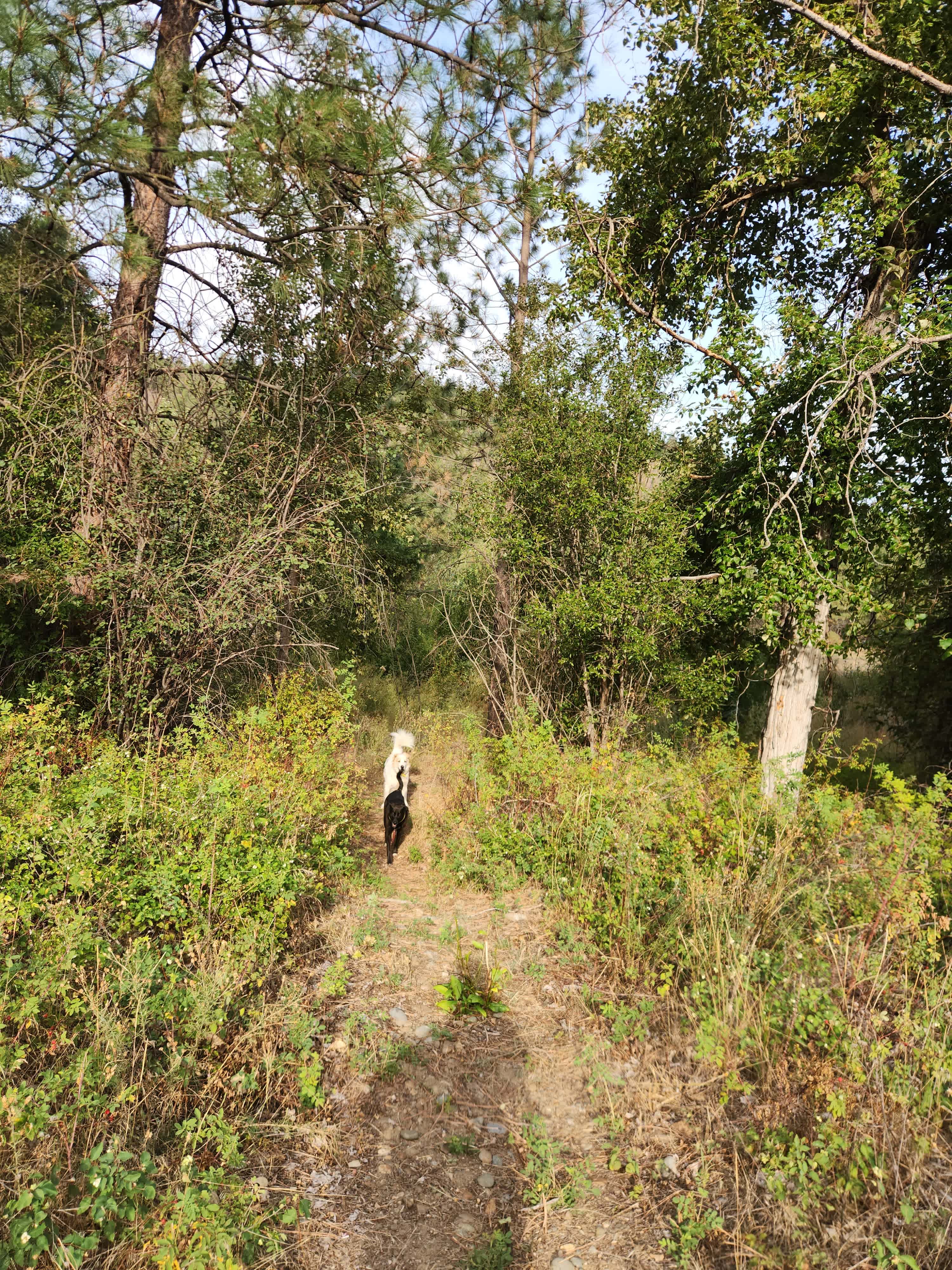 Firkin Riverside Camp Retreat