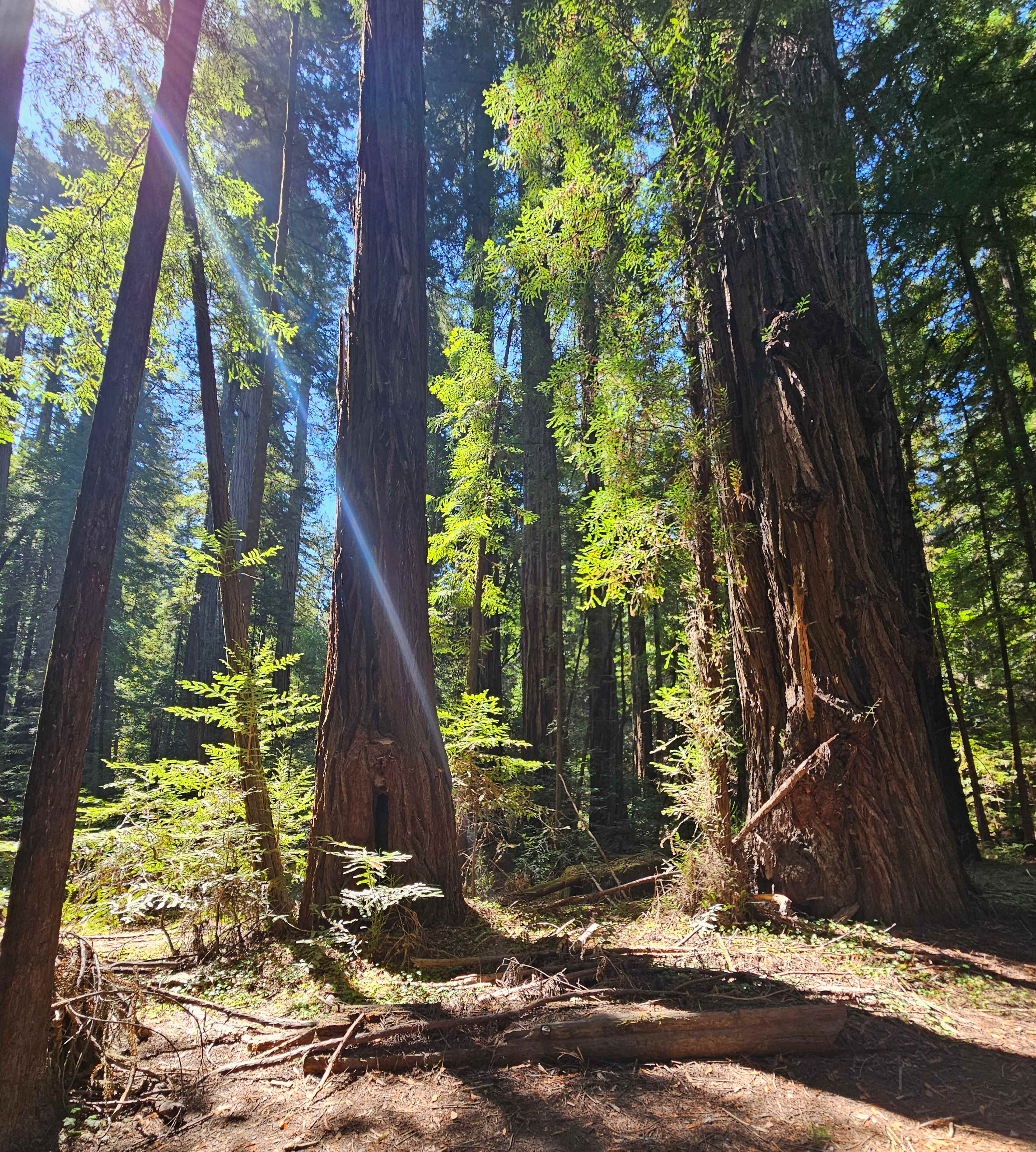 Walking along the creek bed