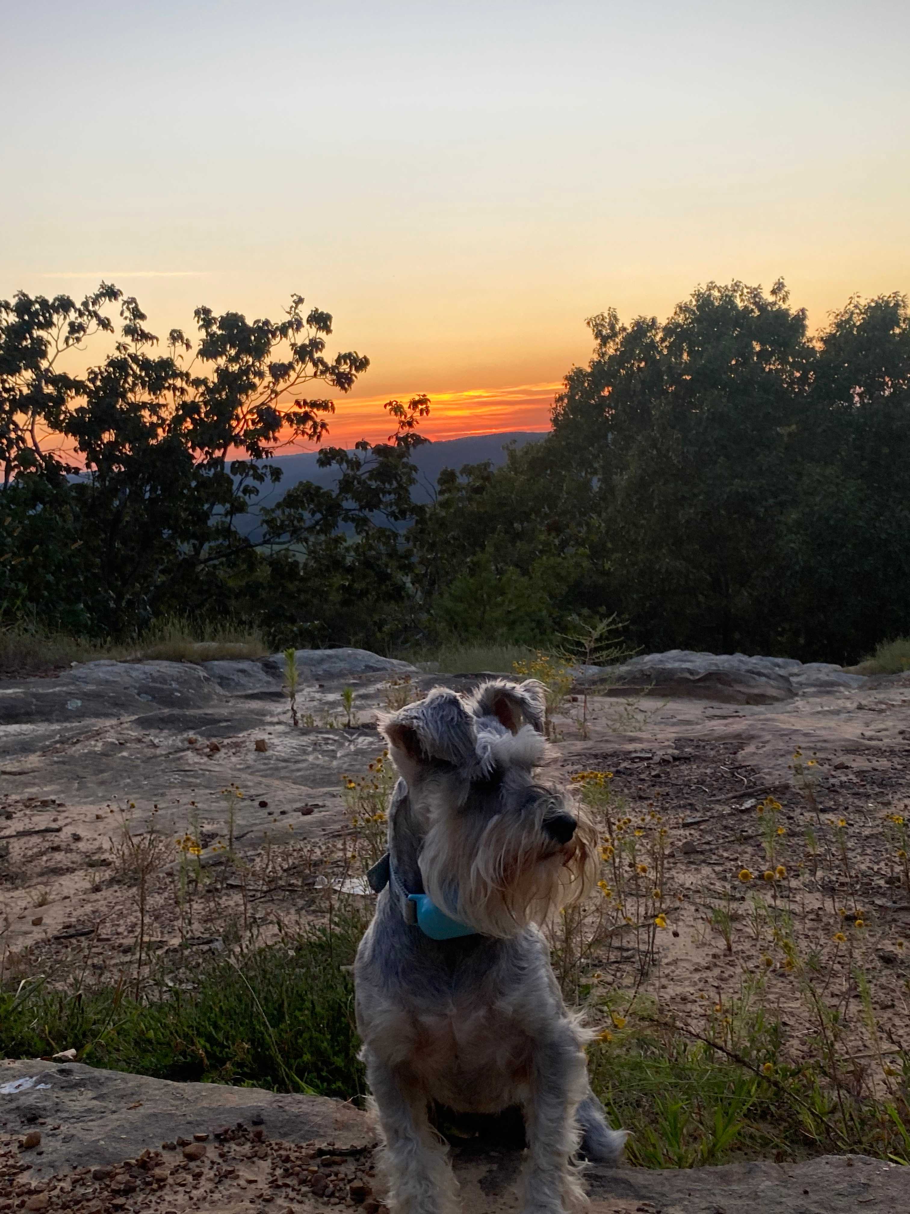 Fort Bluff Camp Site