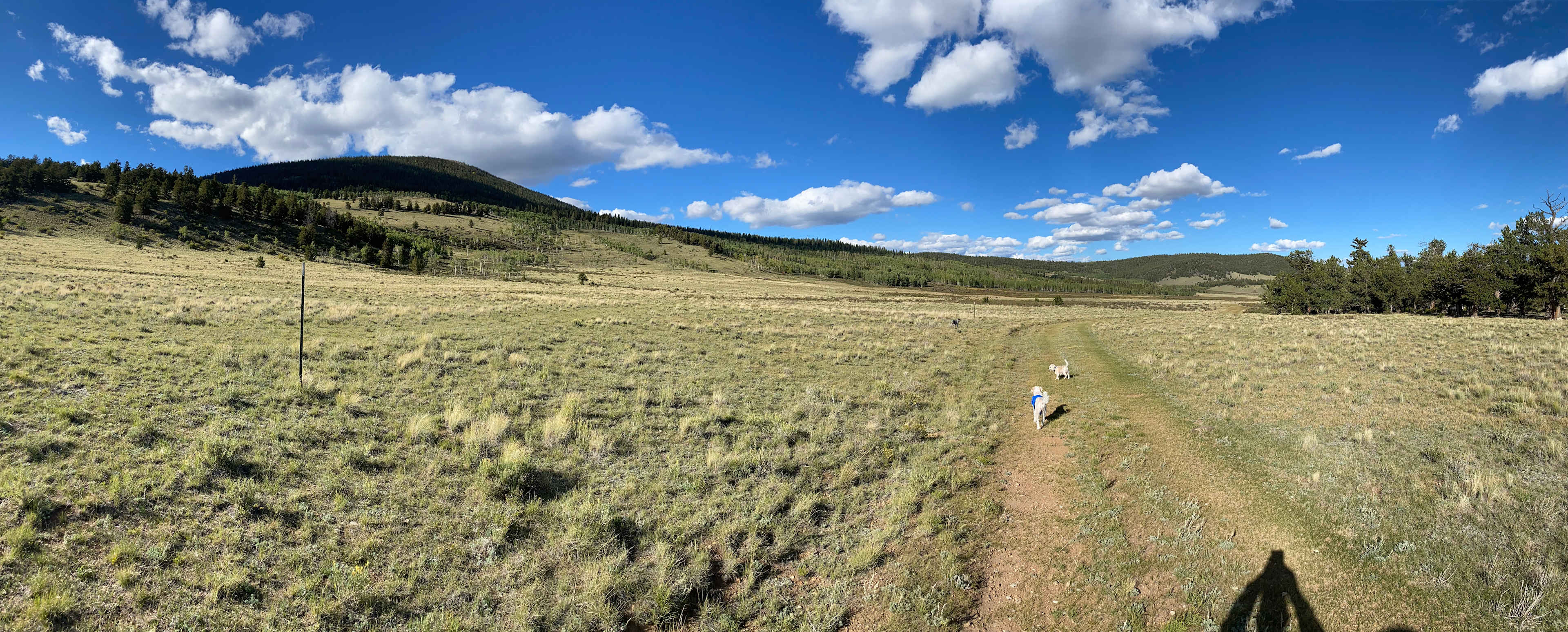 Whispering Pines Glamping