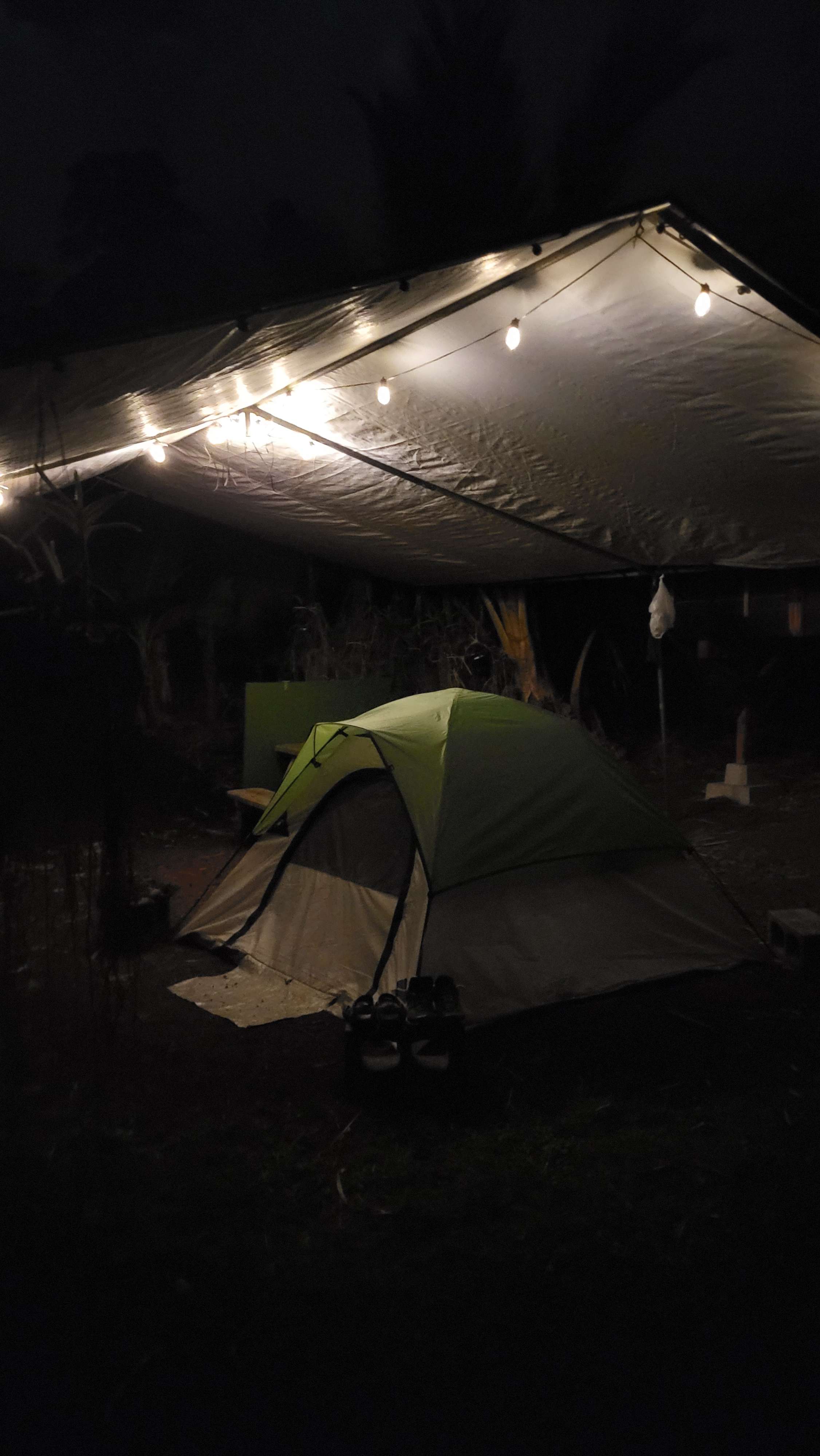 Papa’s Hawaiian Orchid Farm