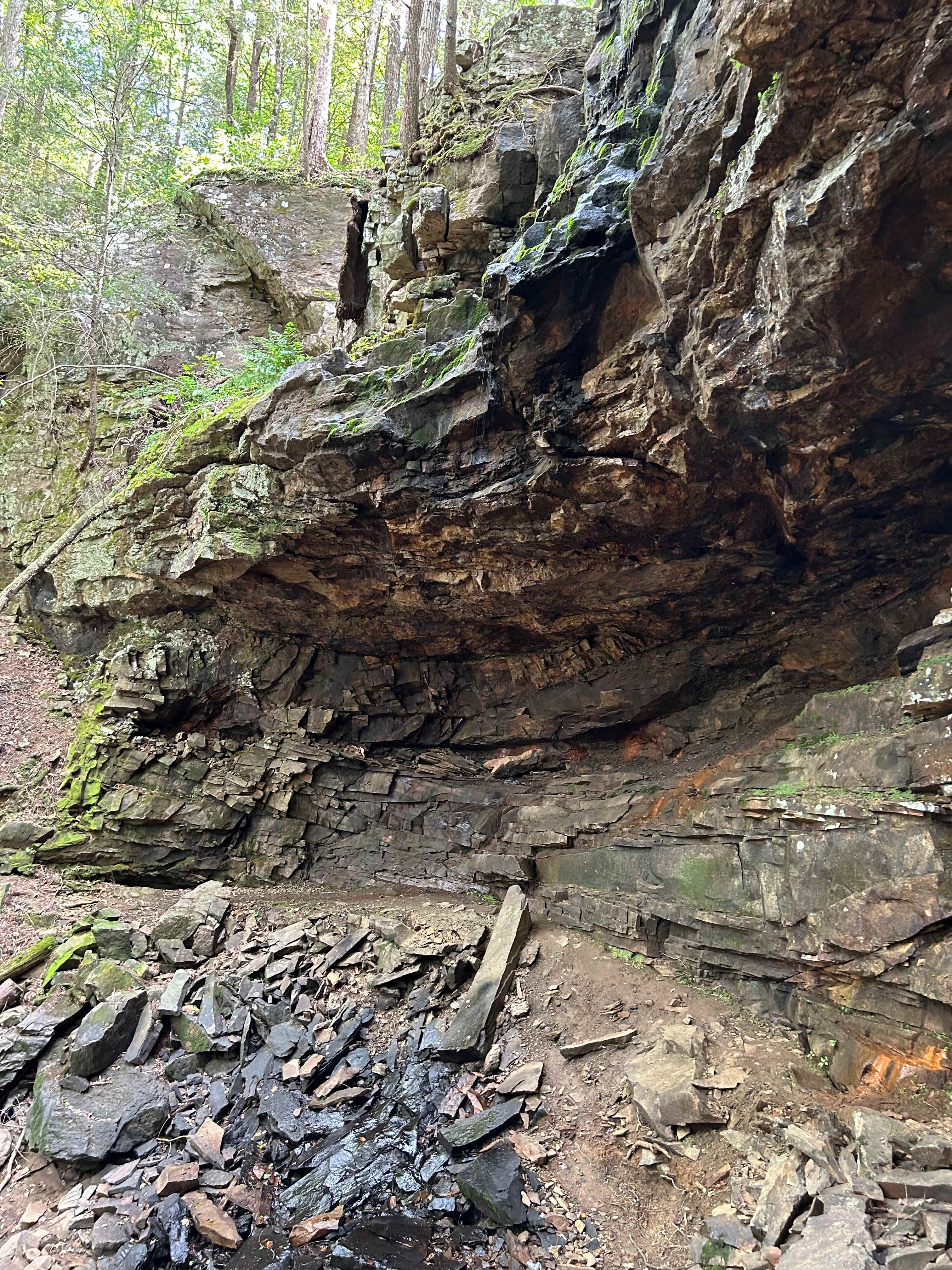 The Falls at Sewanee Creek