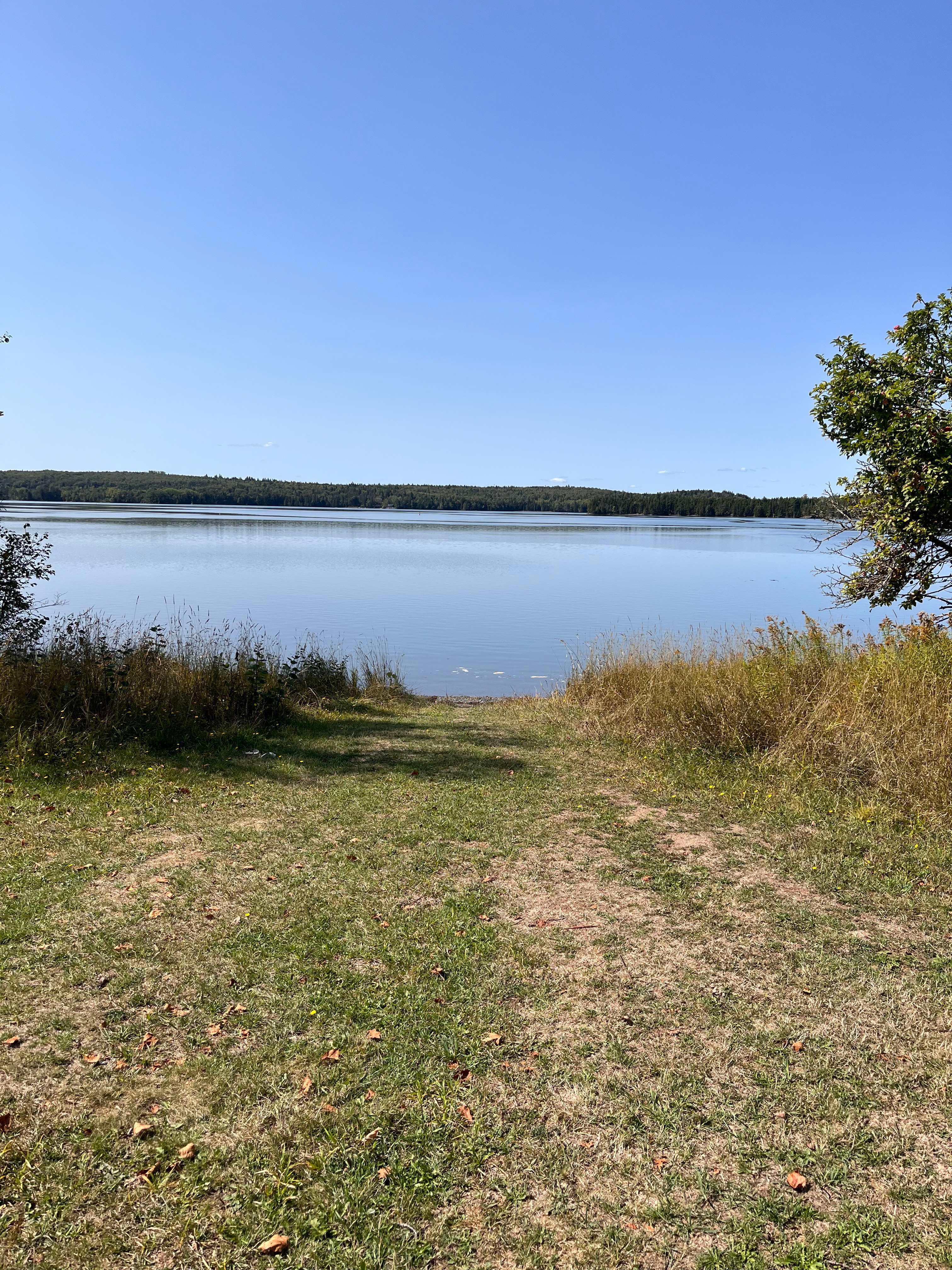 Mouth of the Magaguadavic Camping