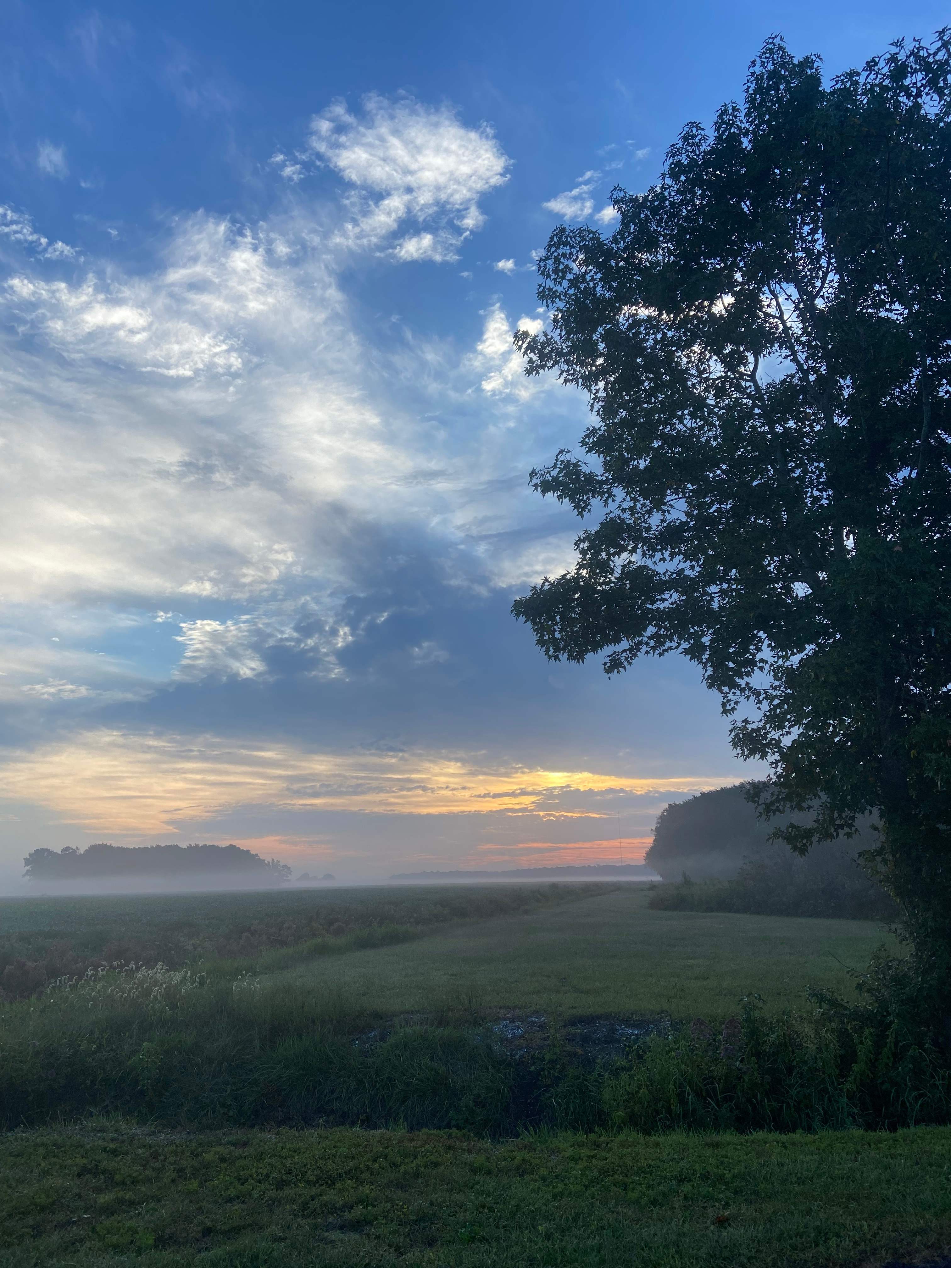 Kingsley Orchards, LLC