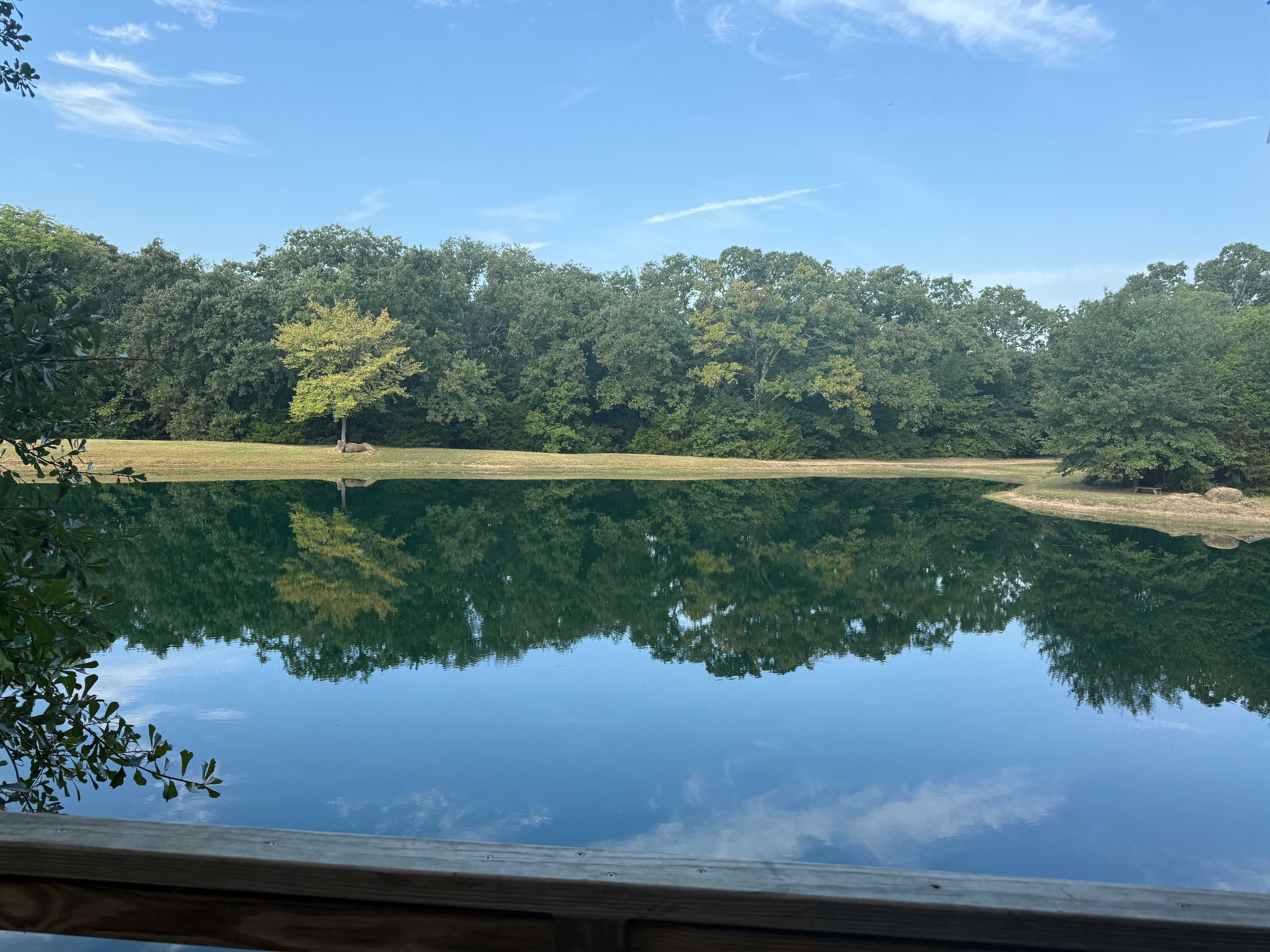 View from the treehouse 