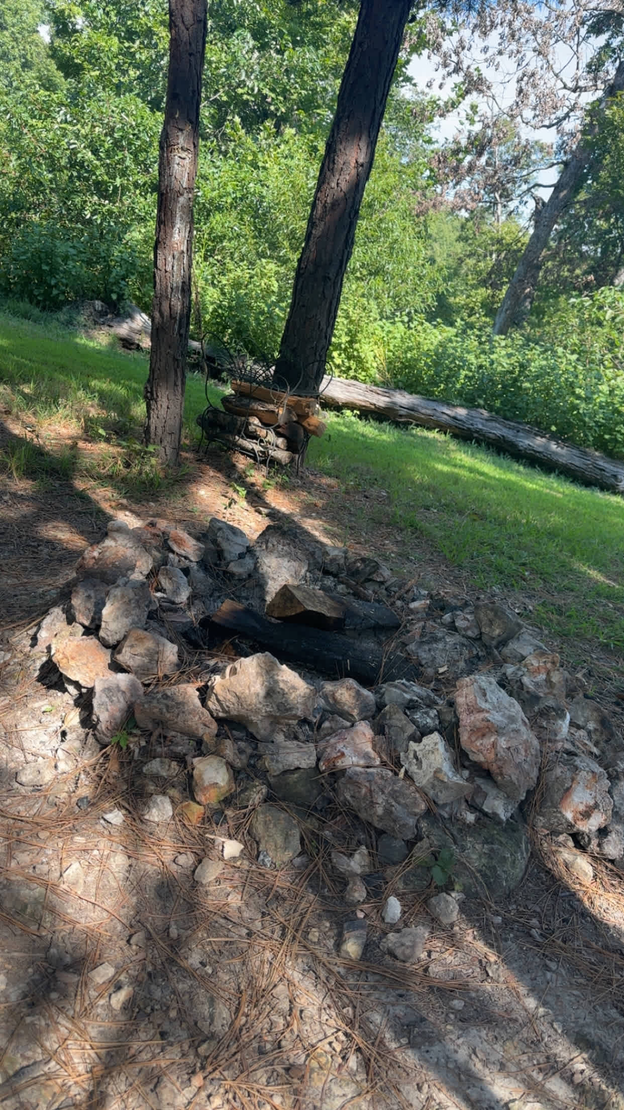 Happy Hippy Acres Wooded Wonderland