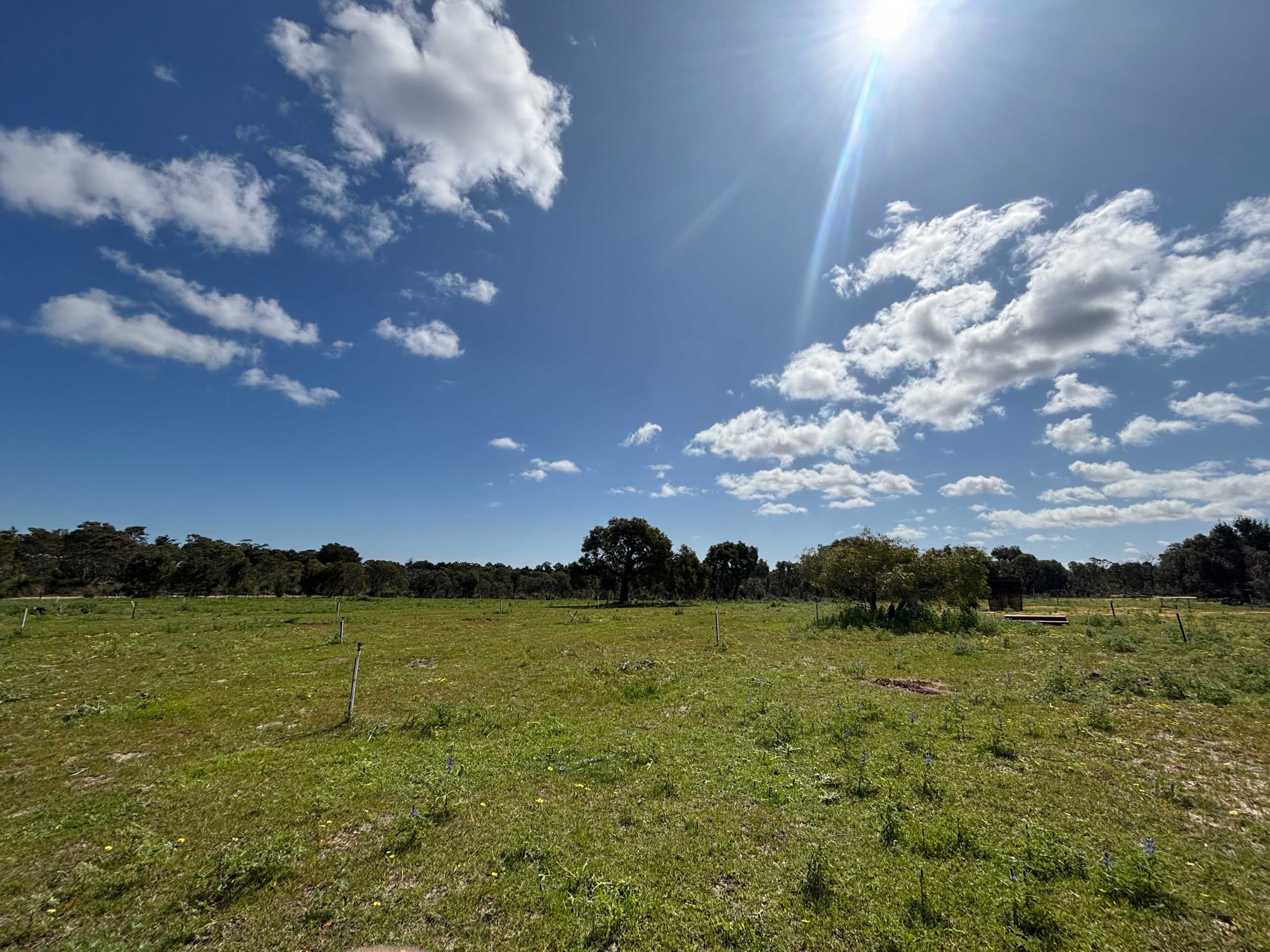Picture of the site