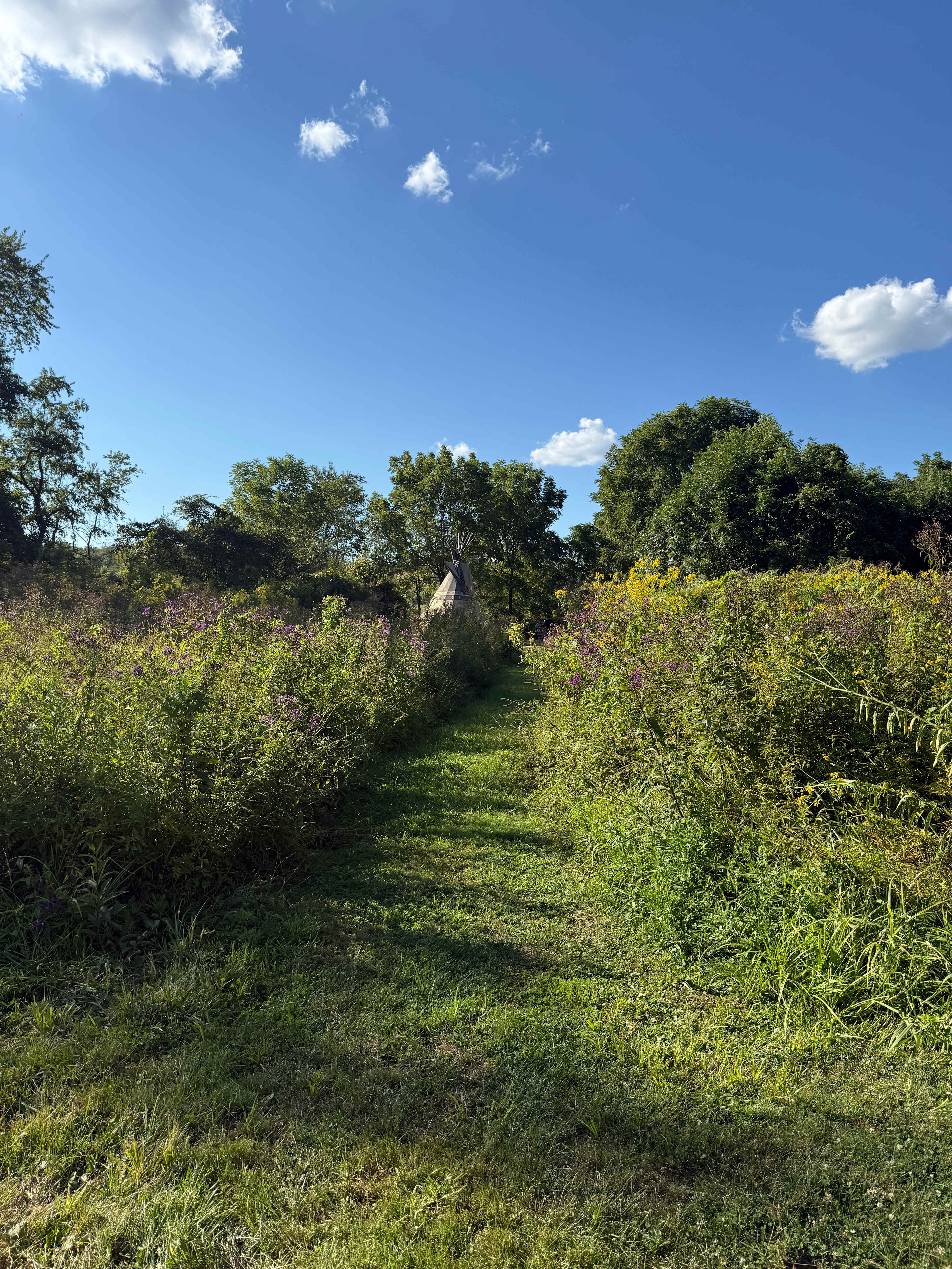 Cherokee Valley Bison Ranch Creekside Retreat