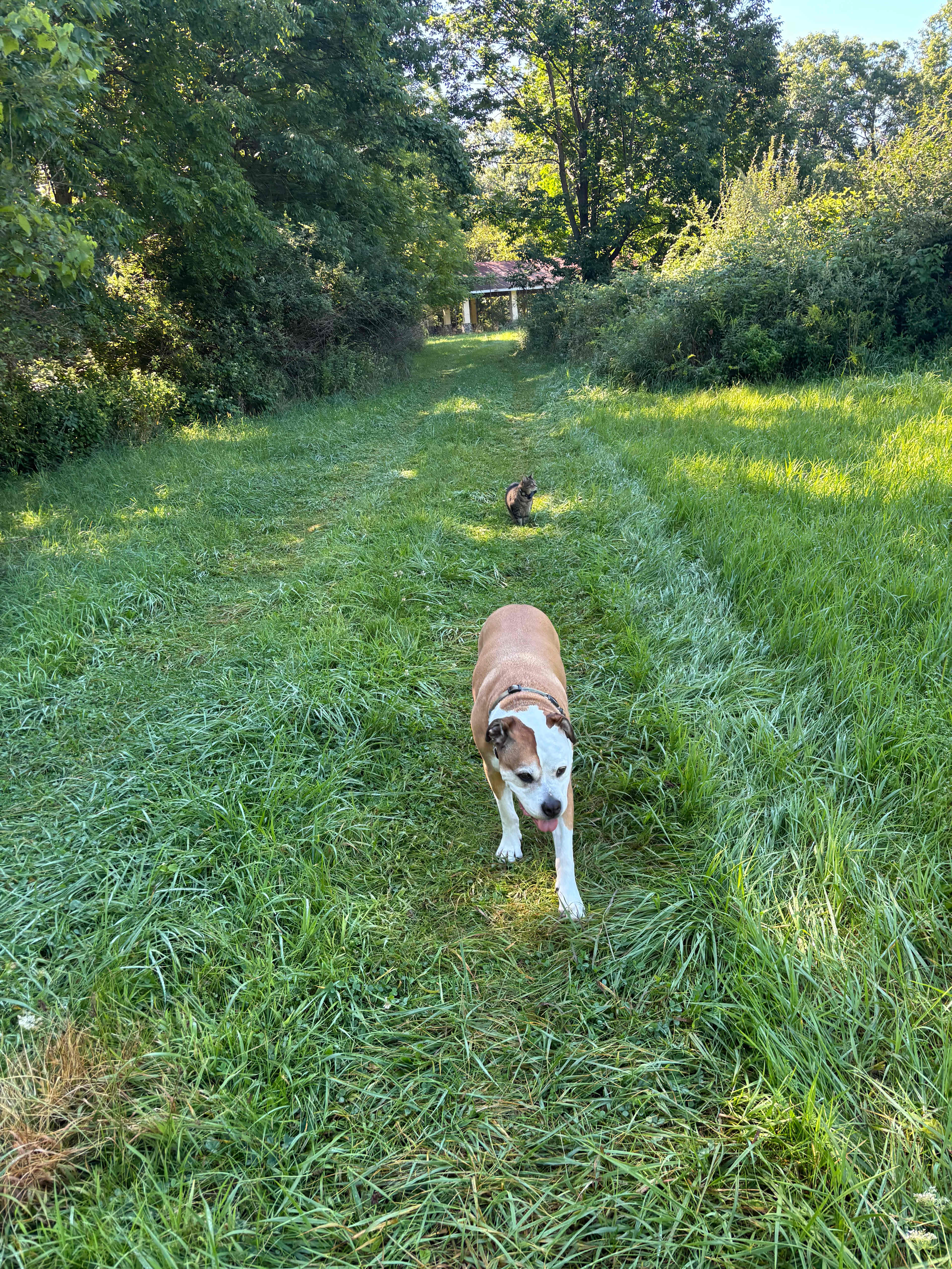 Mission Hemlock Grove