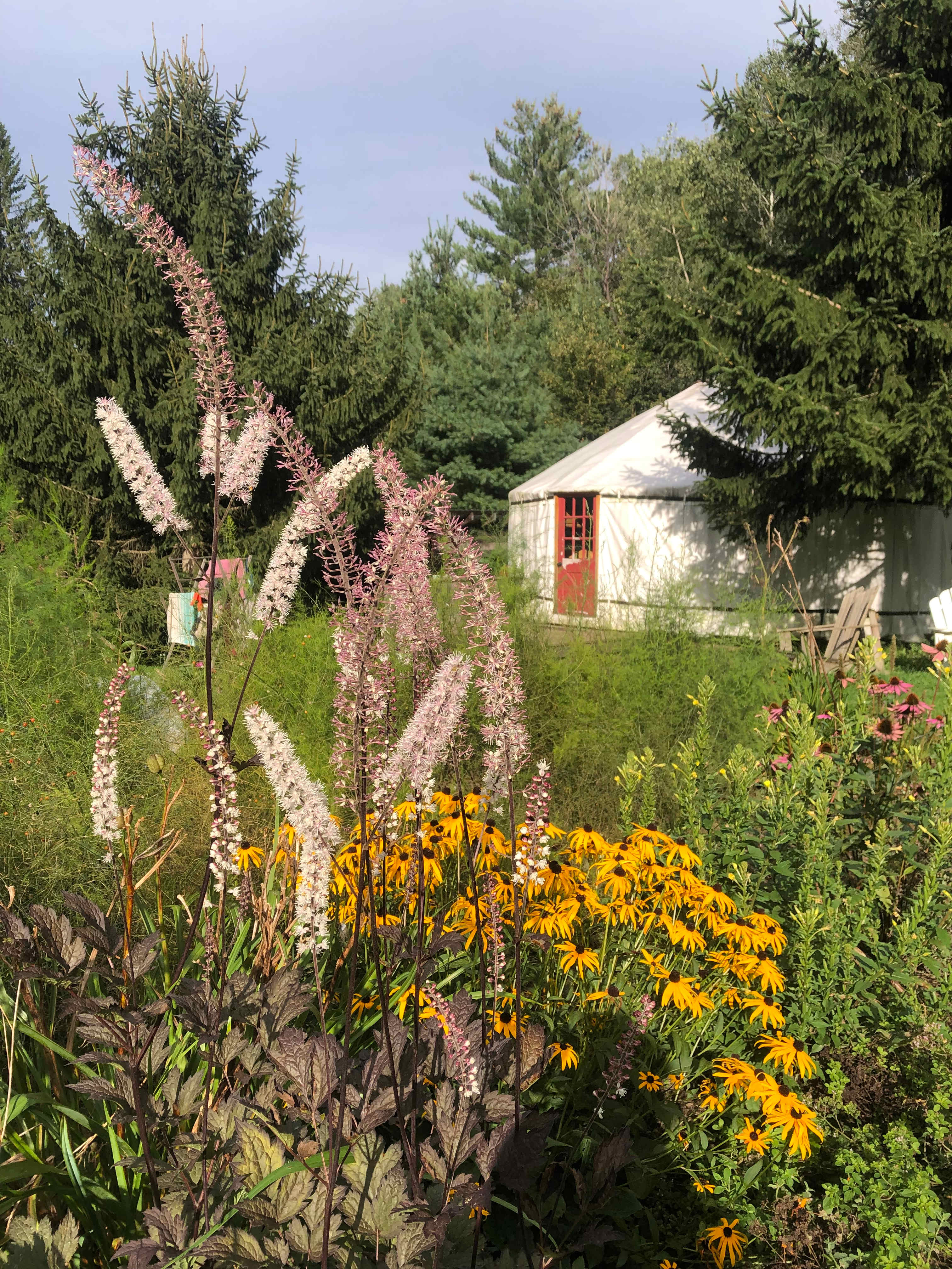 Our spacious yurt is located adjacent to our beautiful organic gardens. 