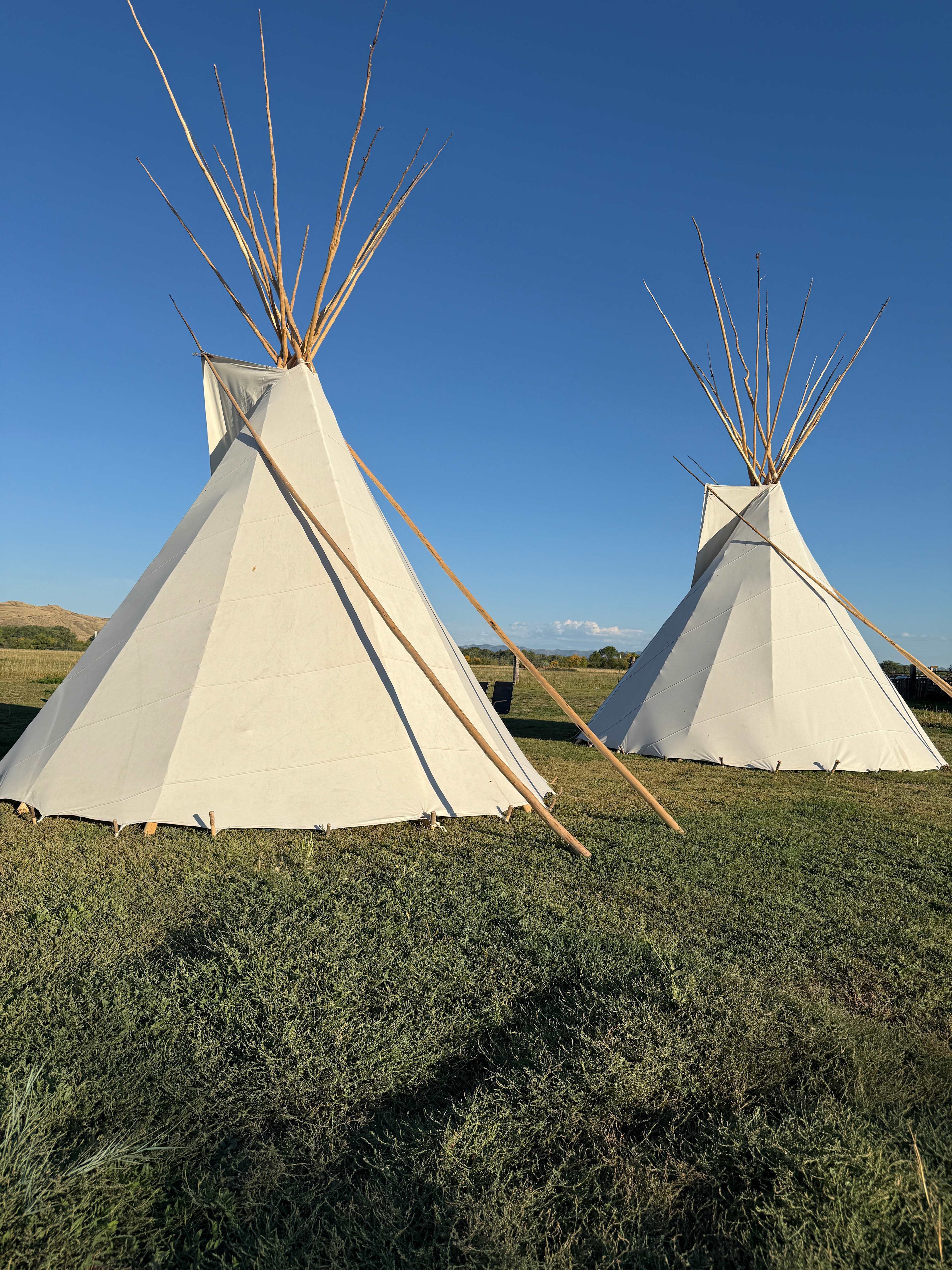 Wellknown Buffalo Historic Camp