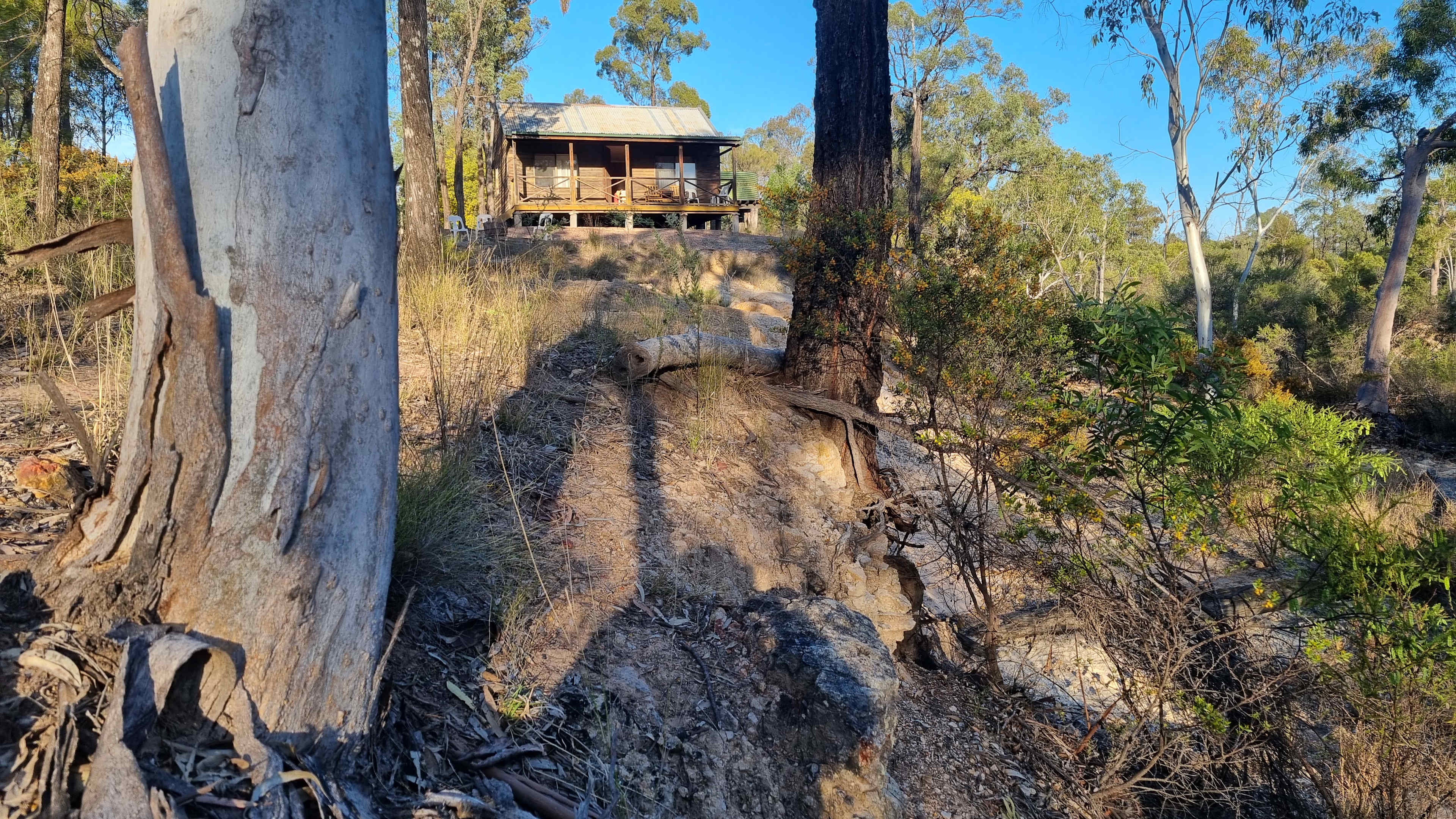 Our cabin in the morning light.