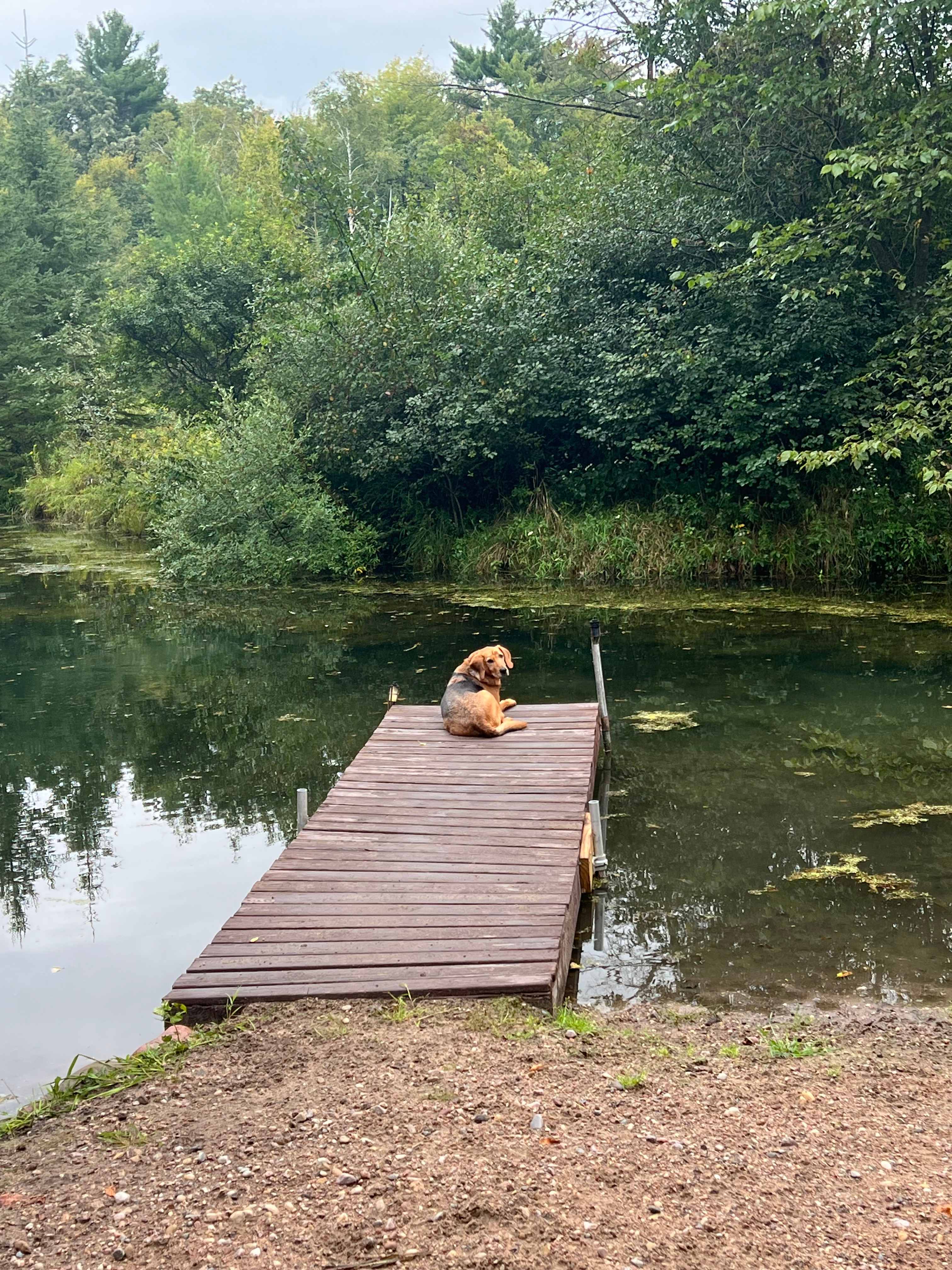Clear Water Camp