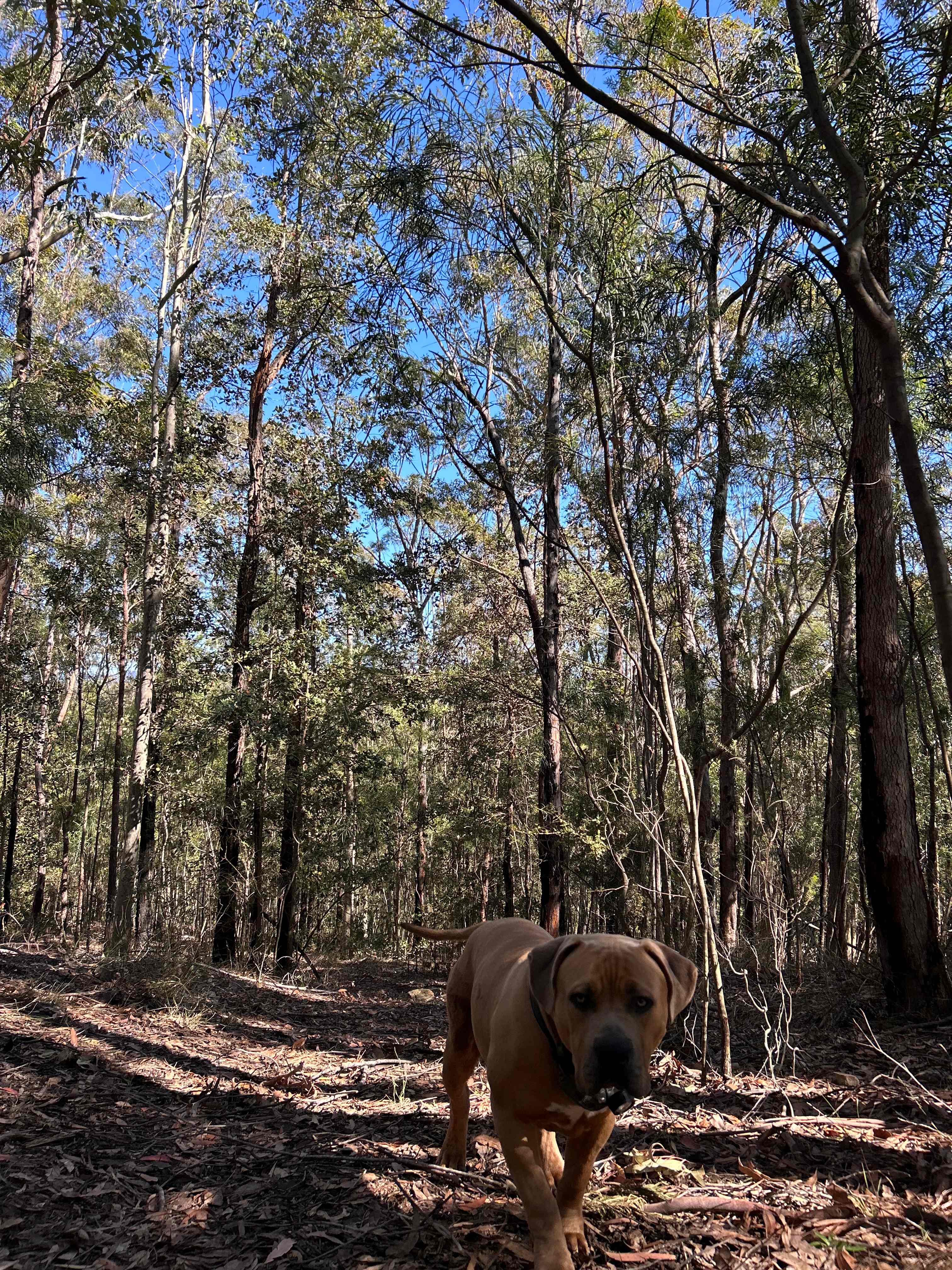 Woodenhead Experiences