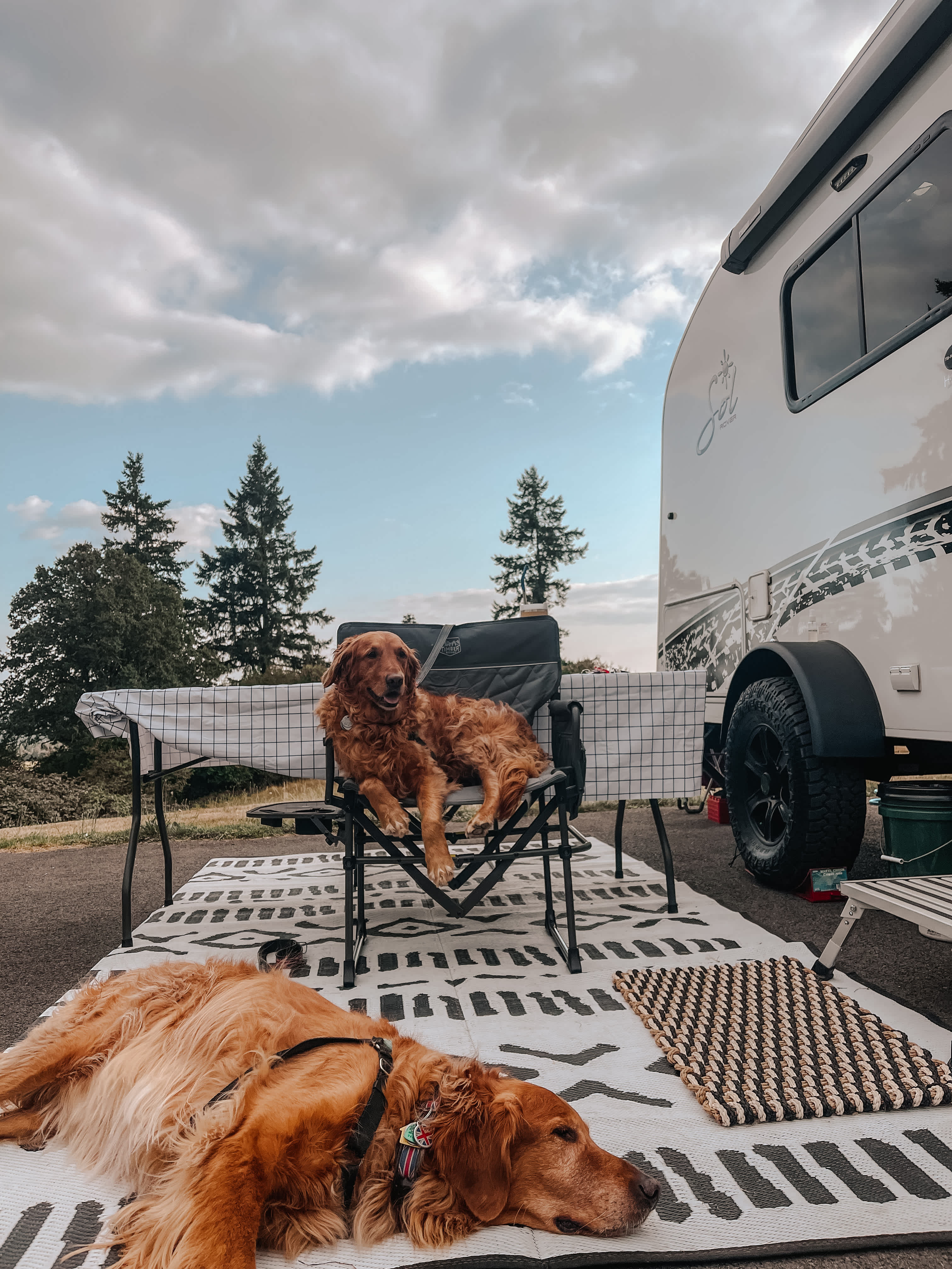 All set up and enjoying our time - dogs loved being there! 