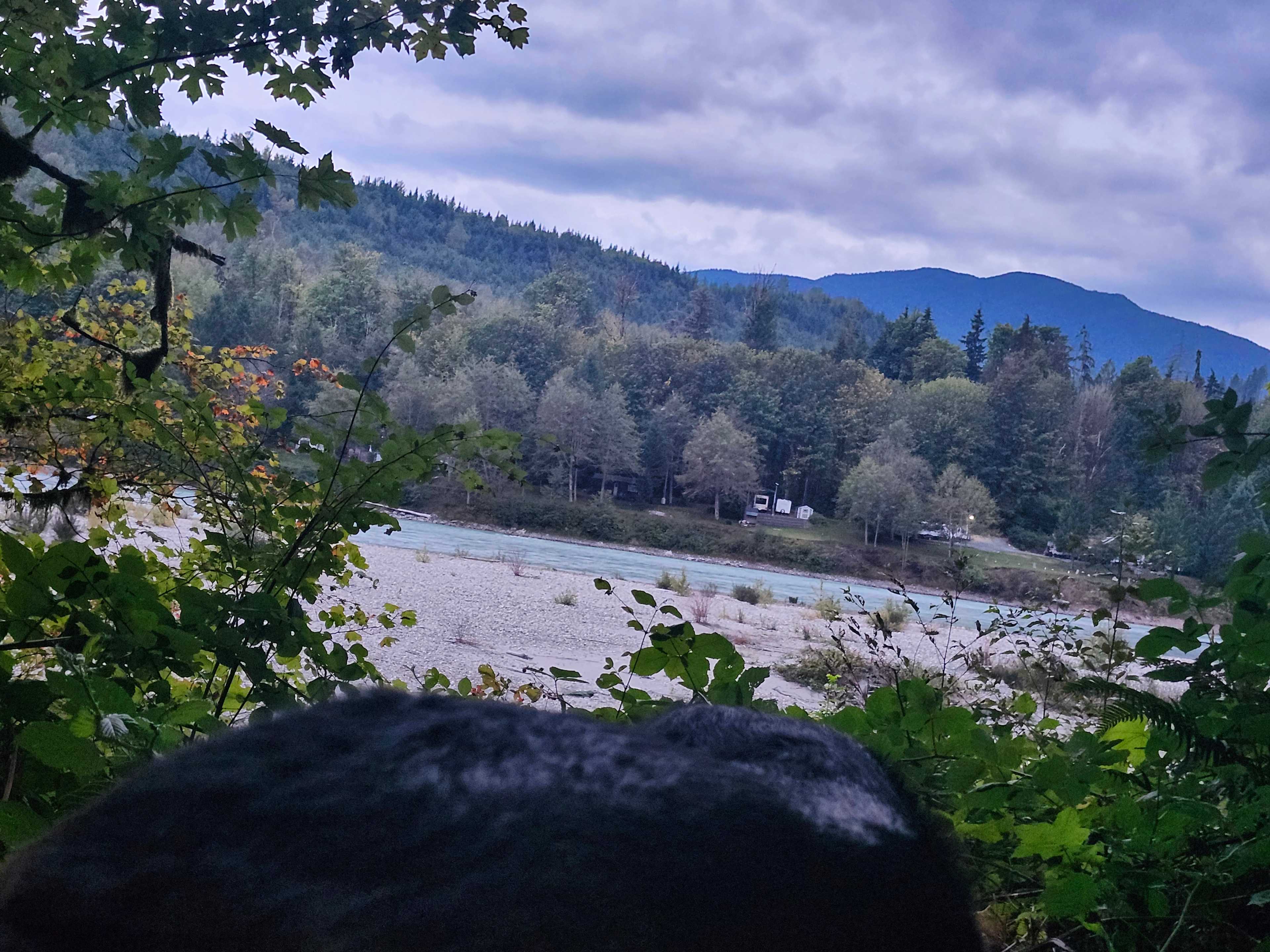 View from the tent pad