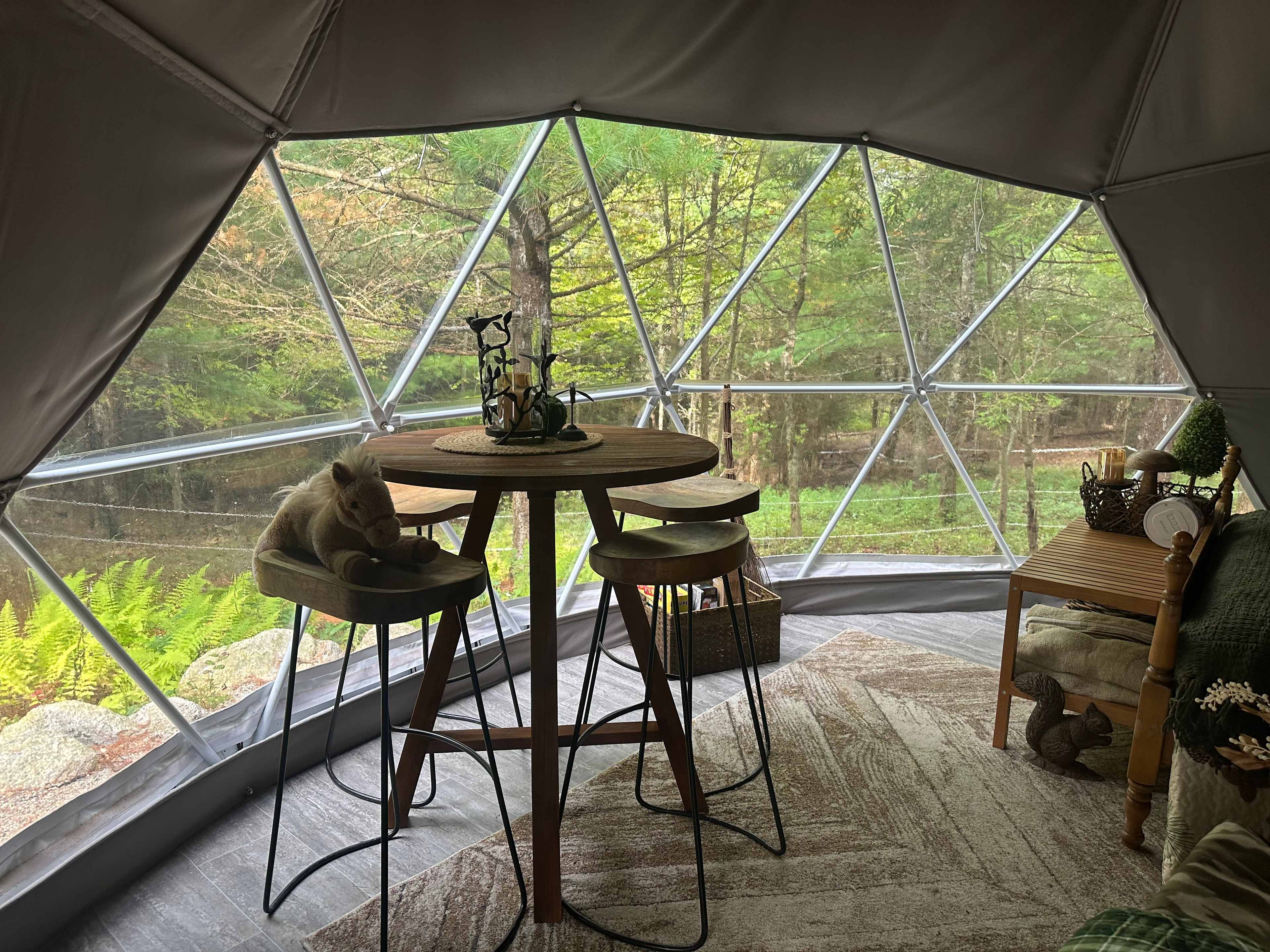 Glamping with the Wild Horses