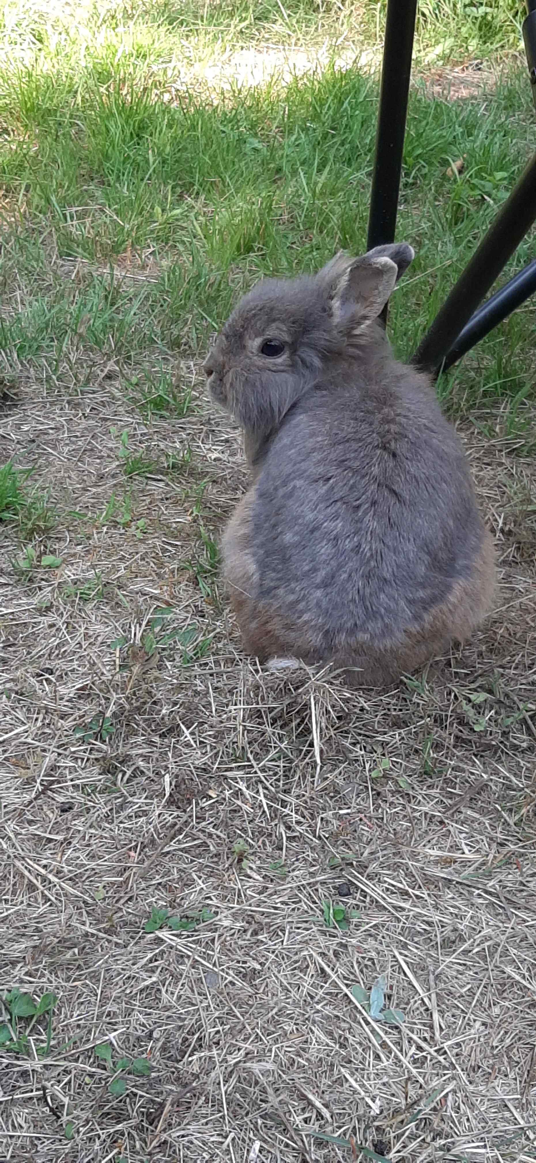 All Provided & Stress Free Camping